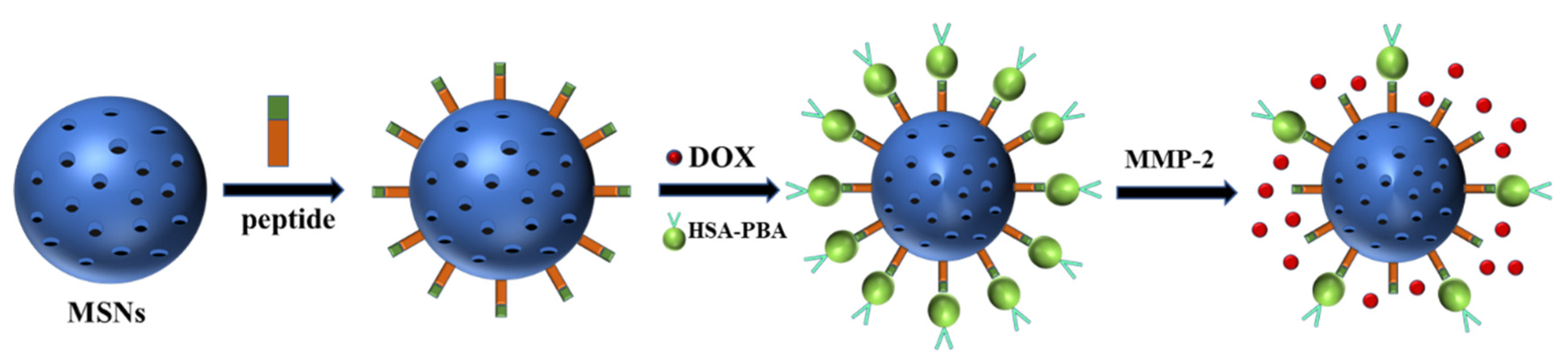 Polymers 13 03307 g006