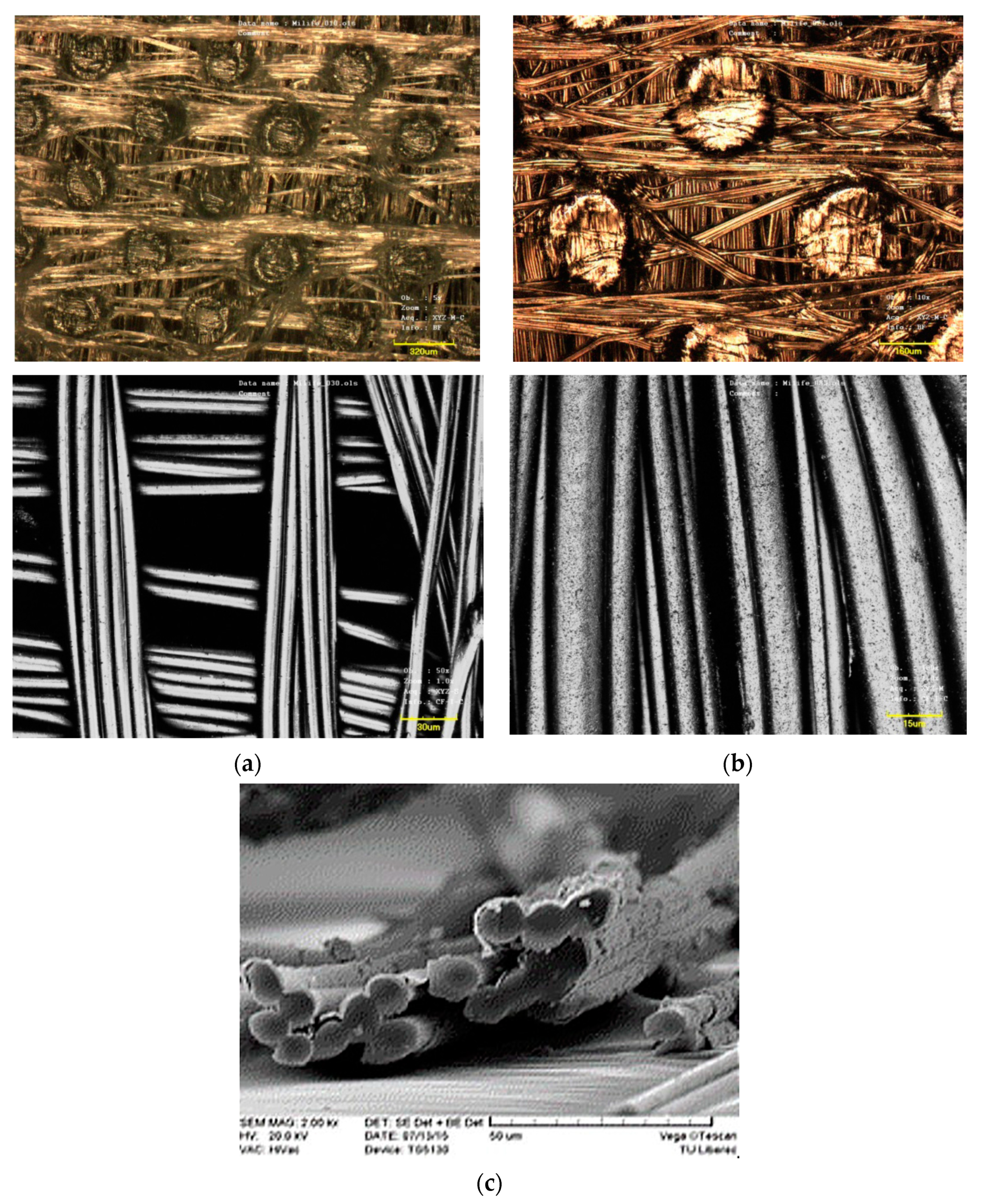 Polymers 13 03309 g001