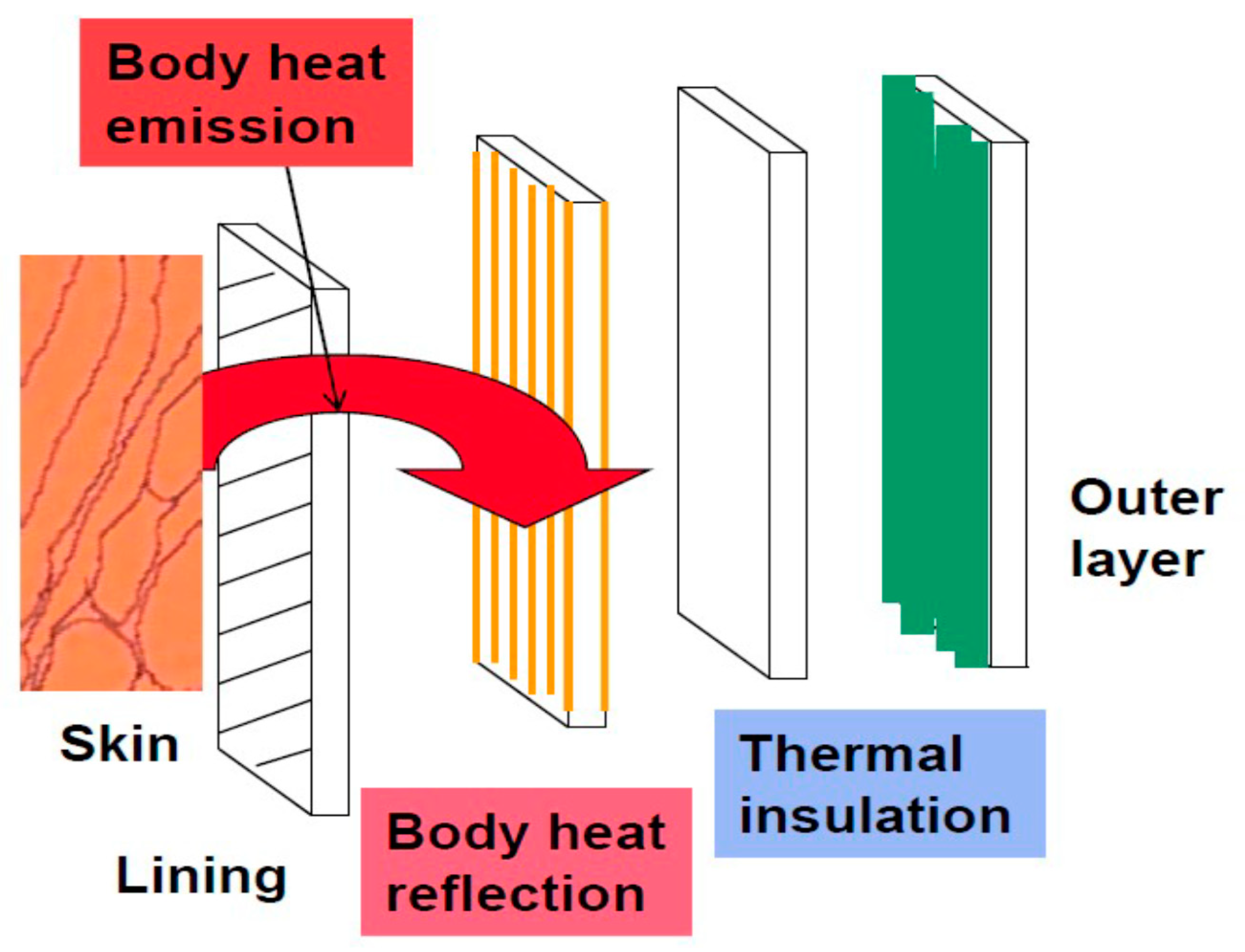 Polymers 13 03309 g002