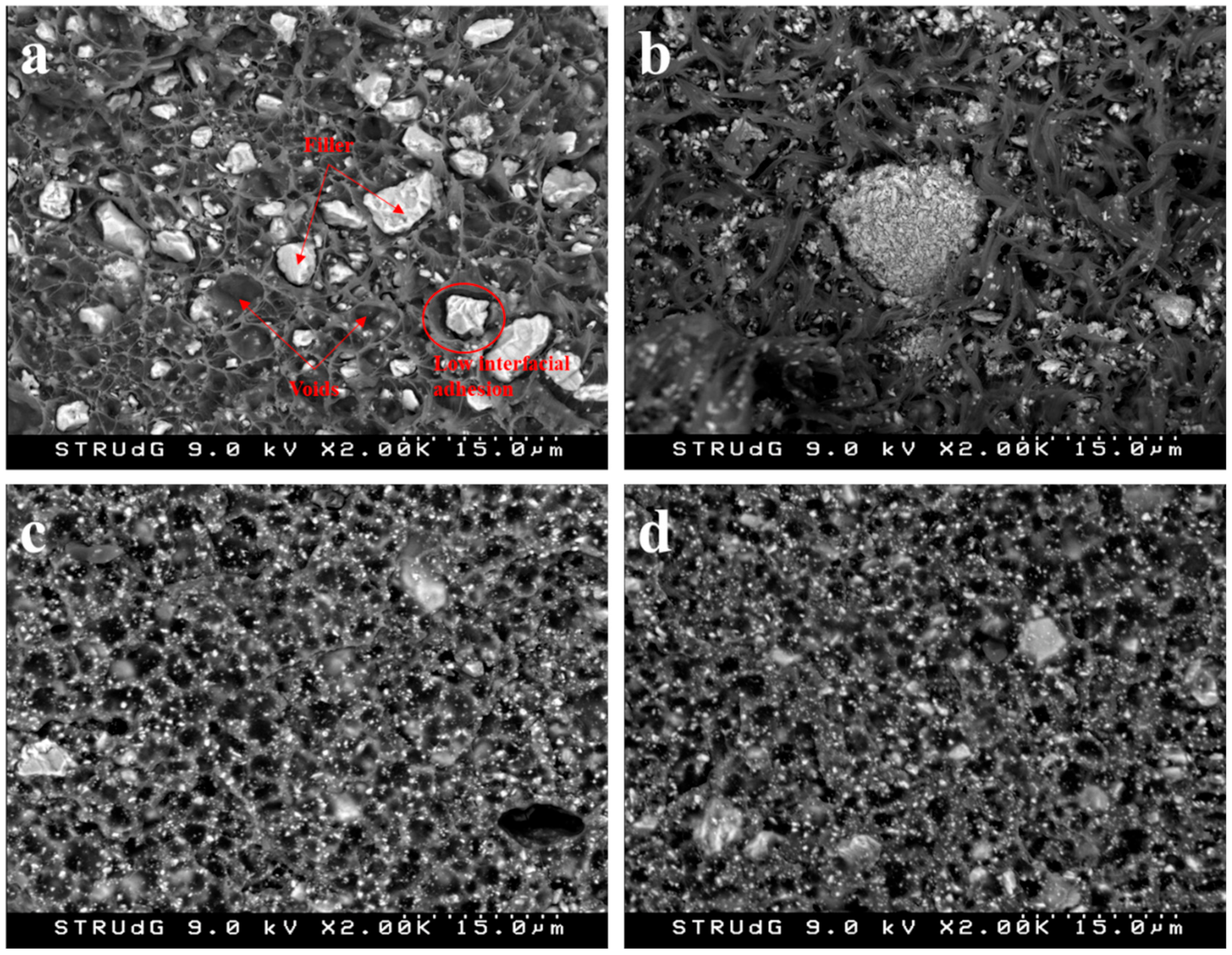 Polymers 13 03323 g007