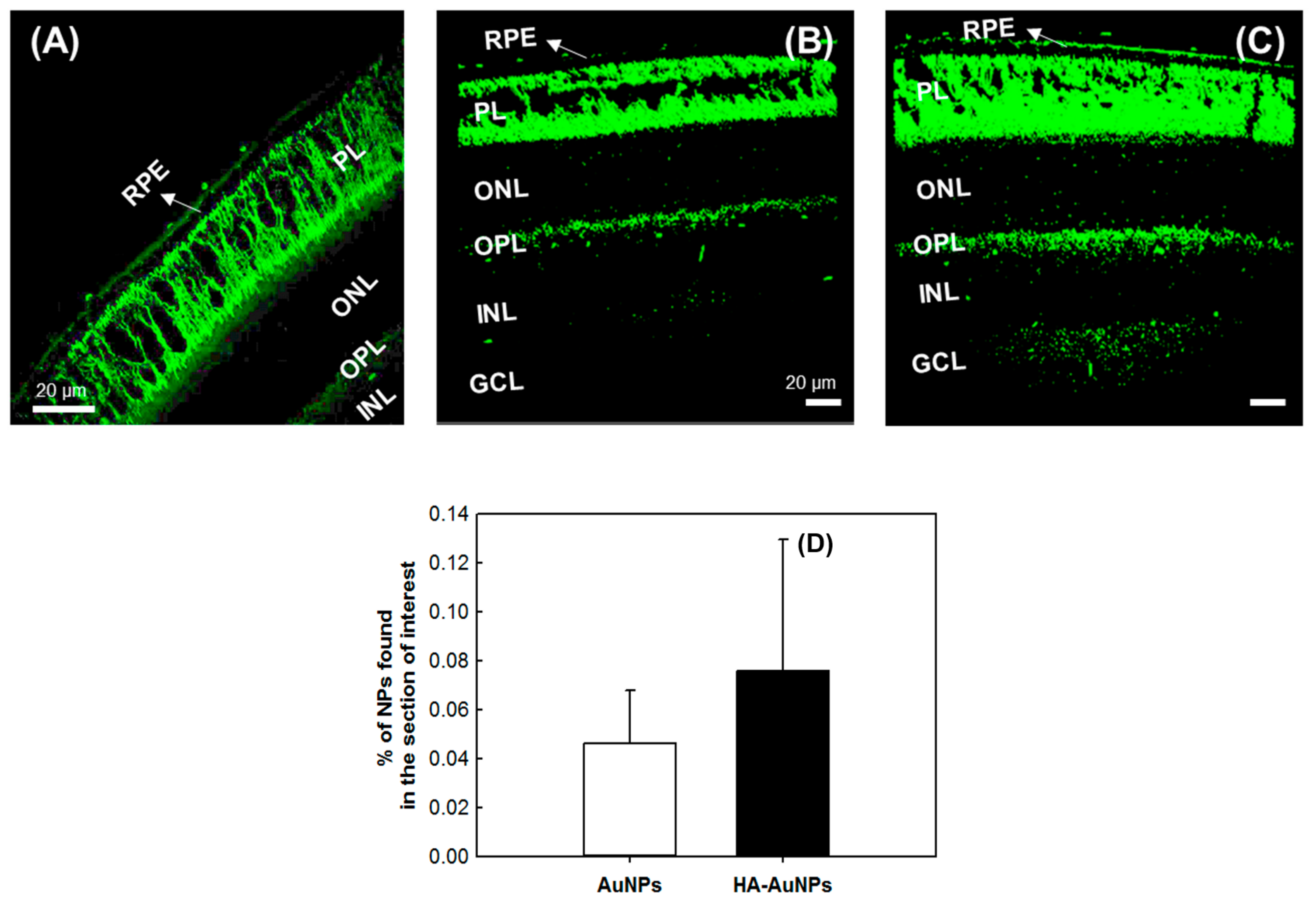 Polymers 13 03324 g001 Polymers 13 03324 g001