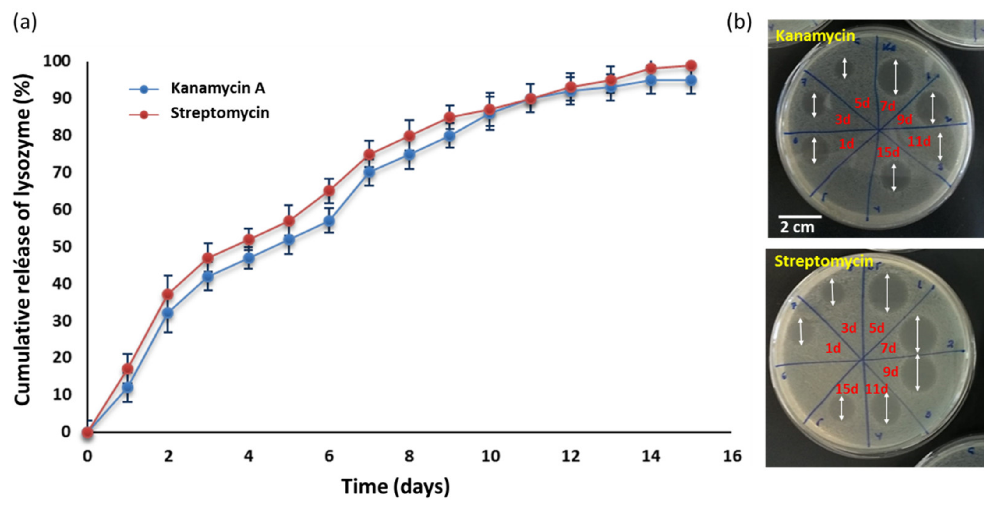 Polymers 13 03326 g008