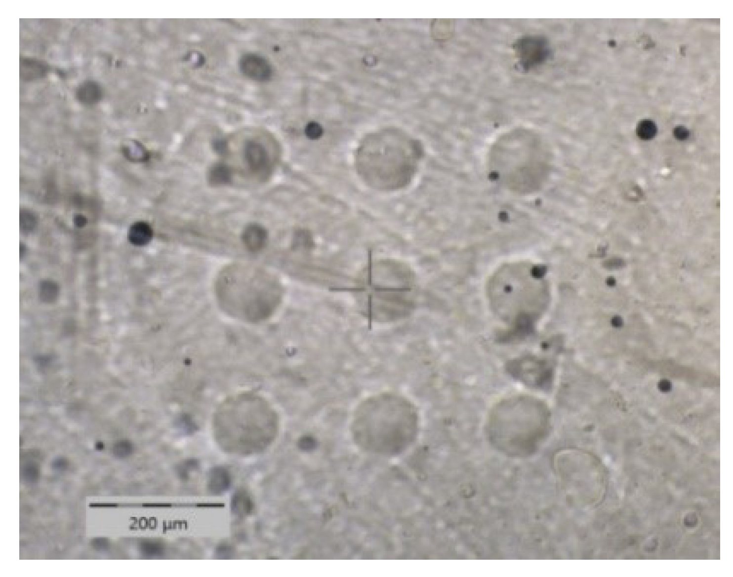 Polymers 13 03328 g001 Polymers 13 03328 g001