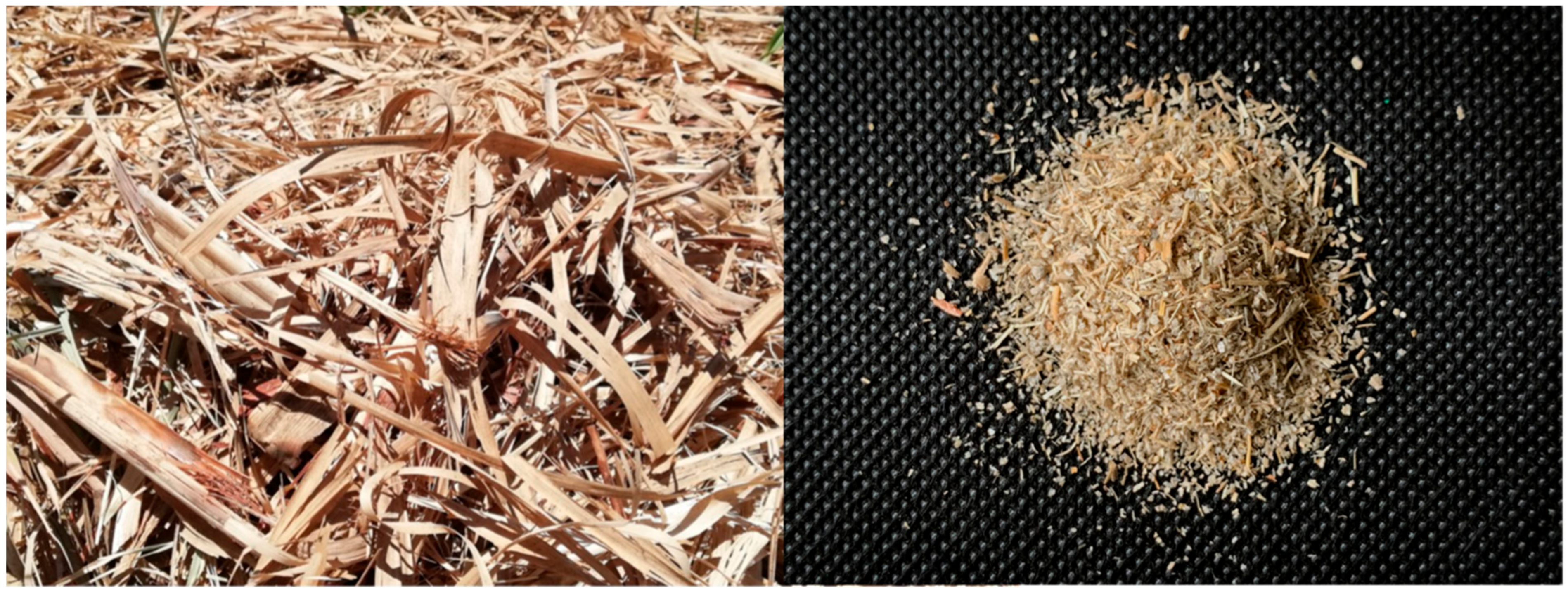 Polymers 13 03335 g001