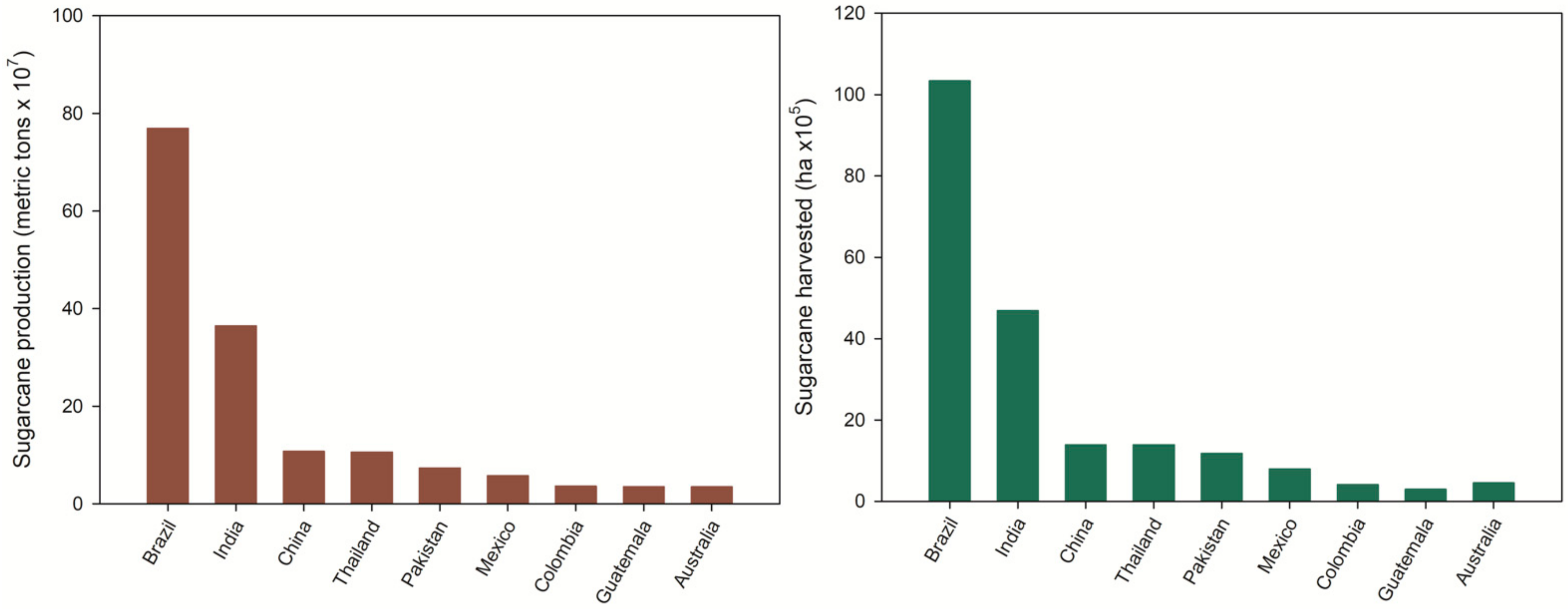 Polymers 13 03335 g002