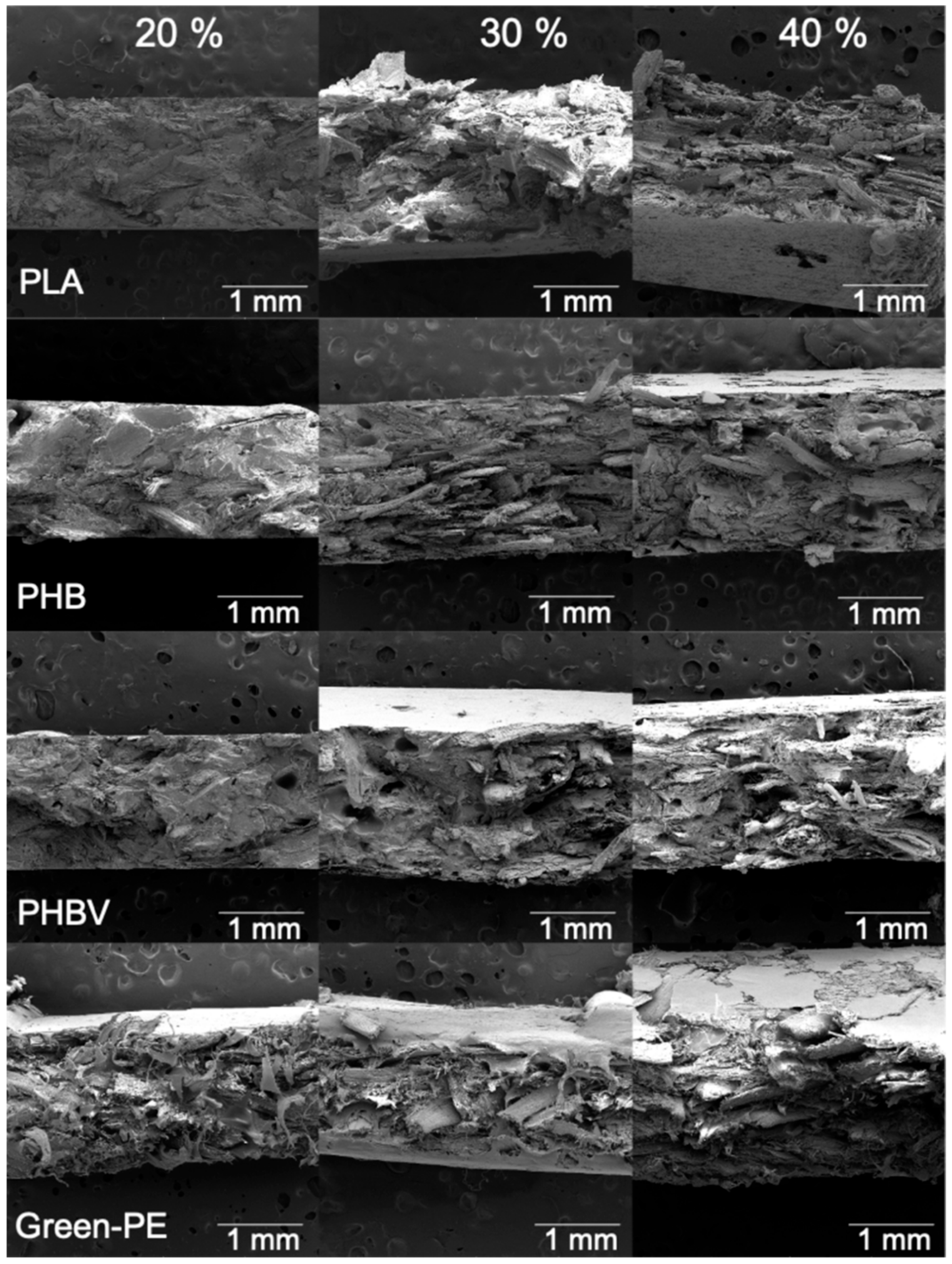 Polymers 13 03335 g006