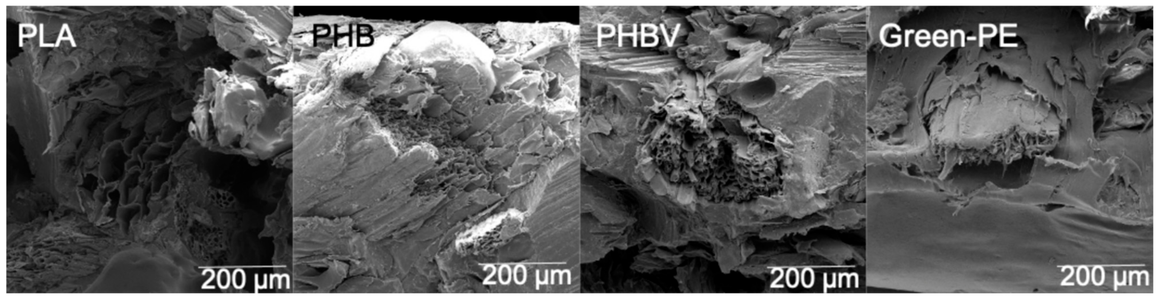 Polymers 13 03335 g007