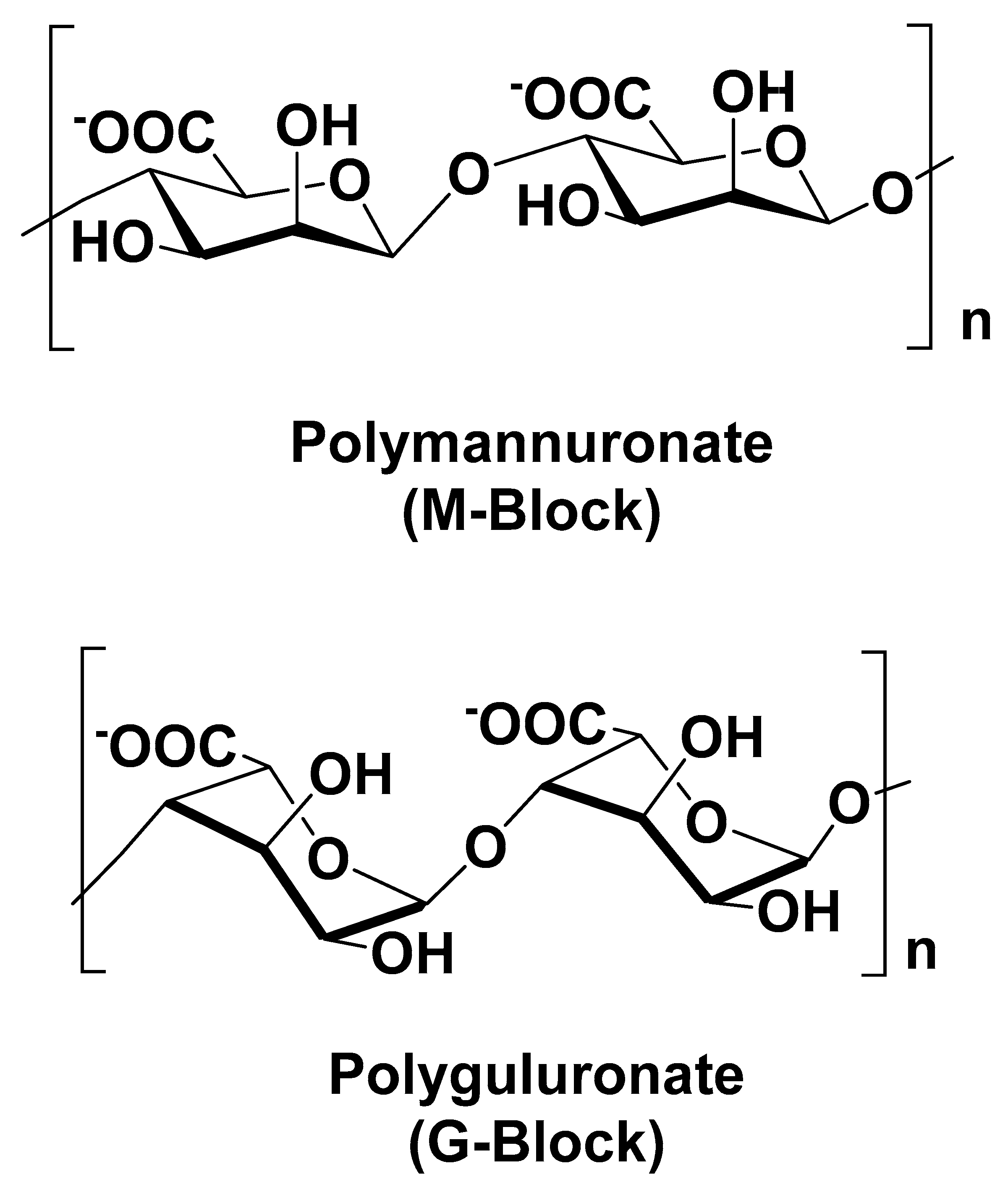 Polymers 13 03342 g004 Polymers 13 03342 g004