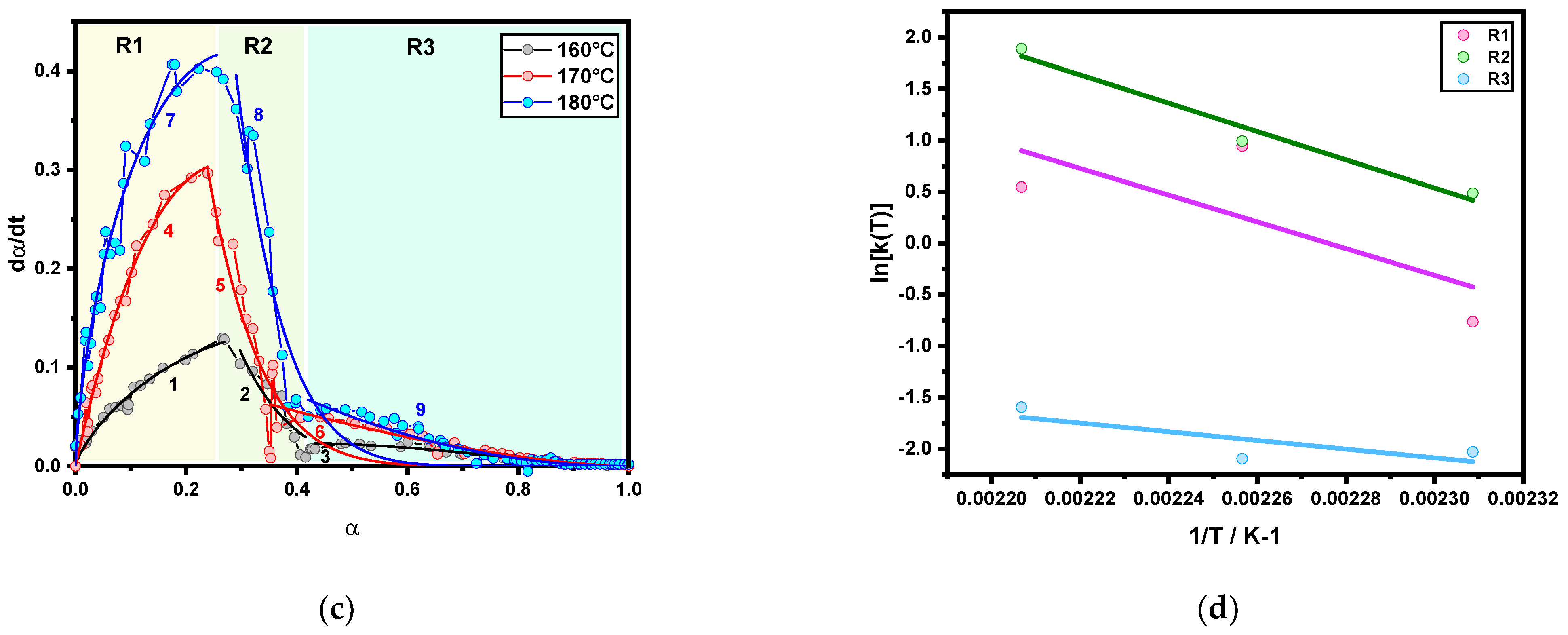 Polymers 13 03347 g003b