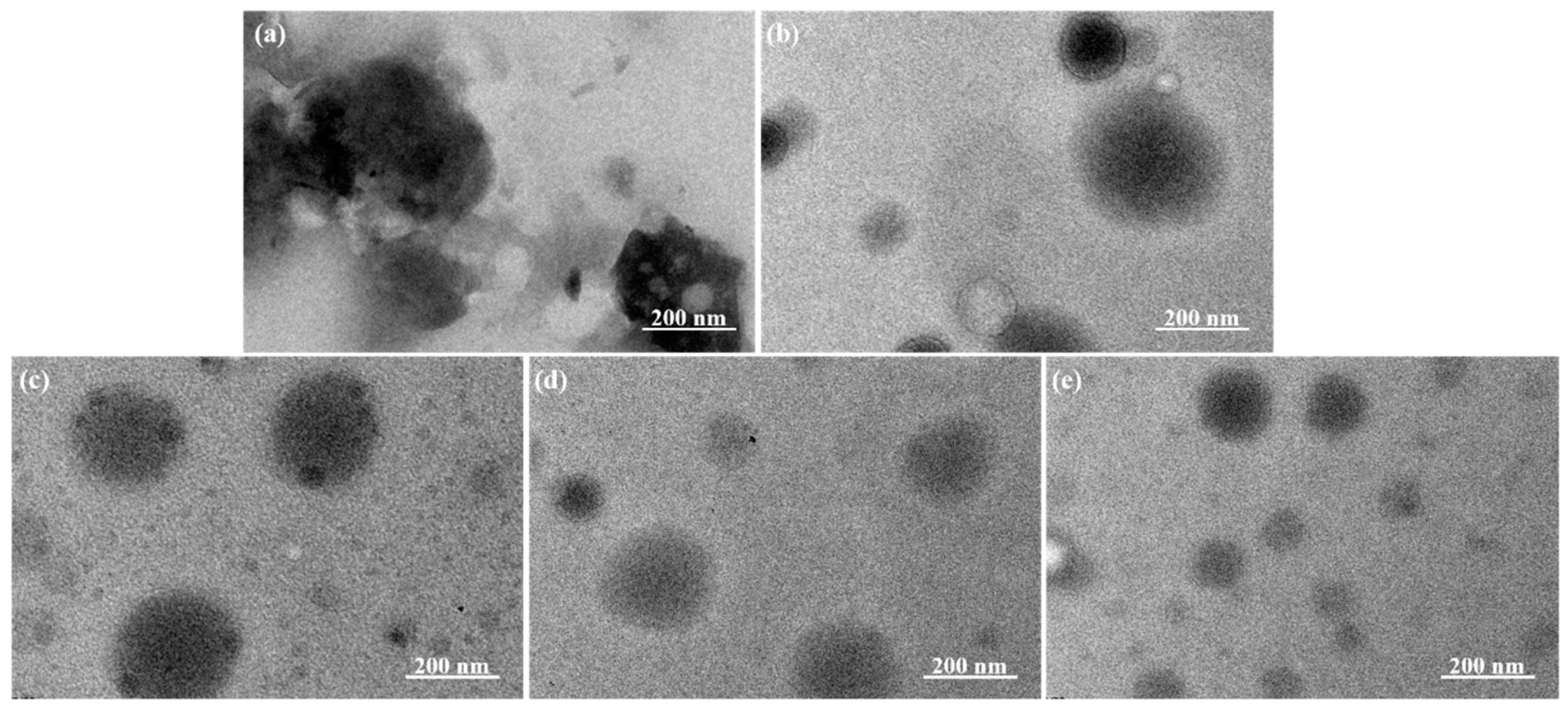 Polymers 13 03351 g006 Polymers 13 03351 g006
