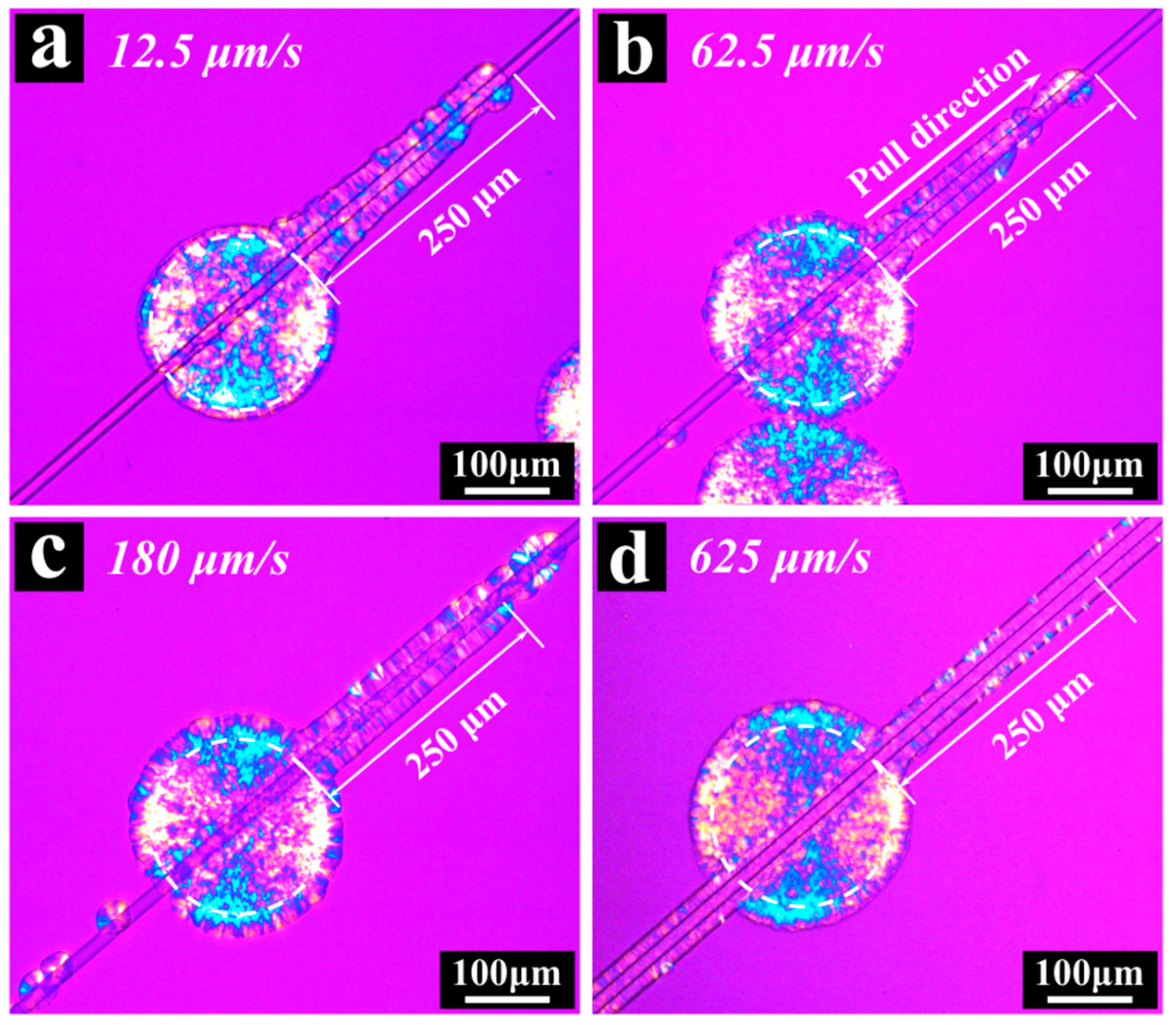 Polymers 13 03354 g003