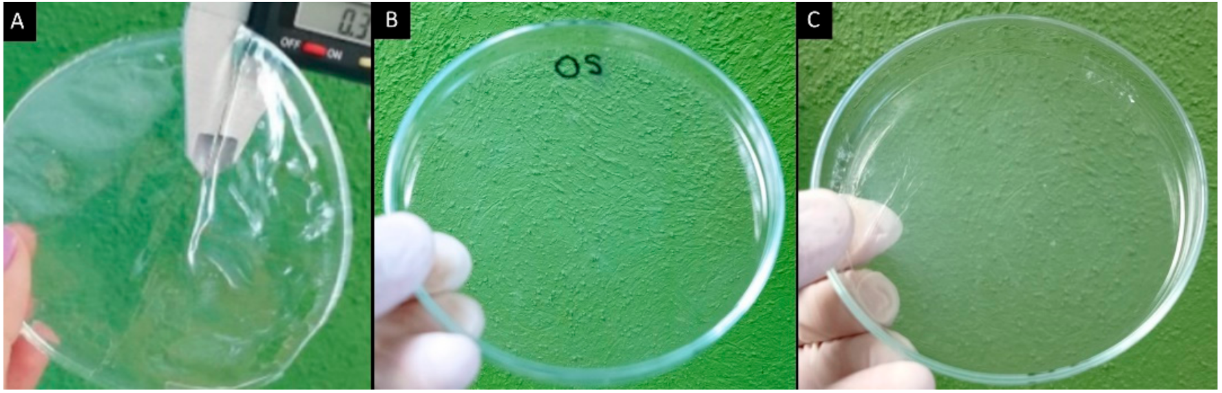 Polymers 13 03356 g001