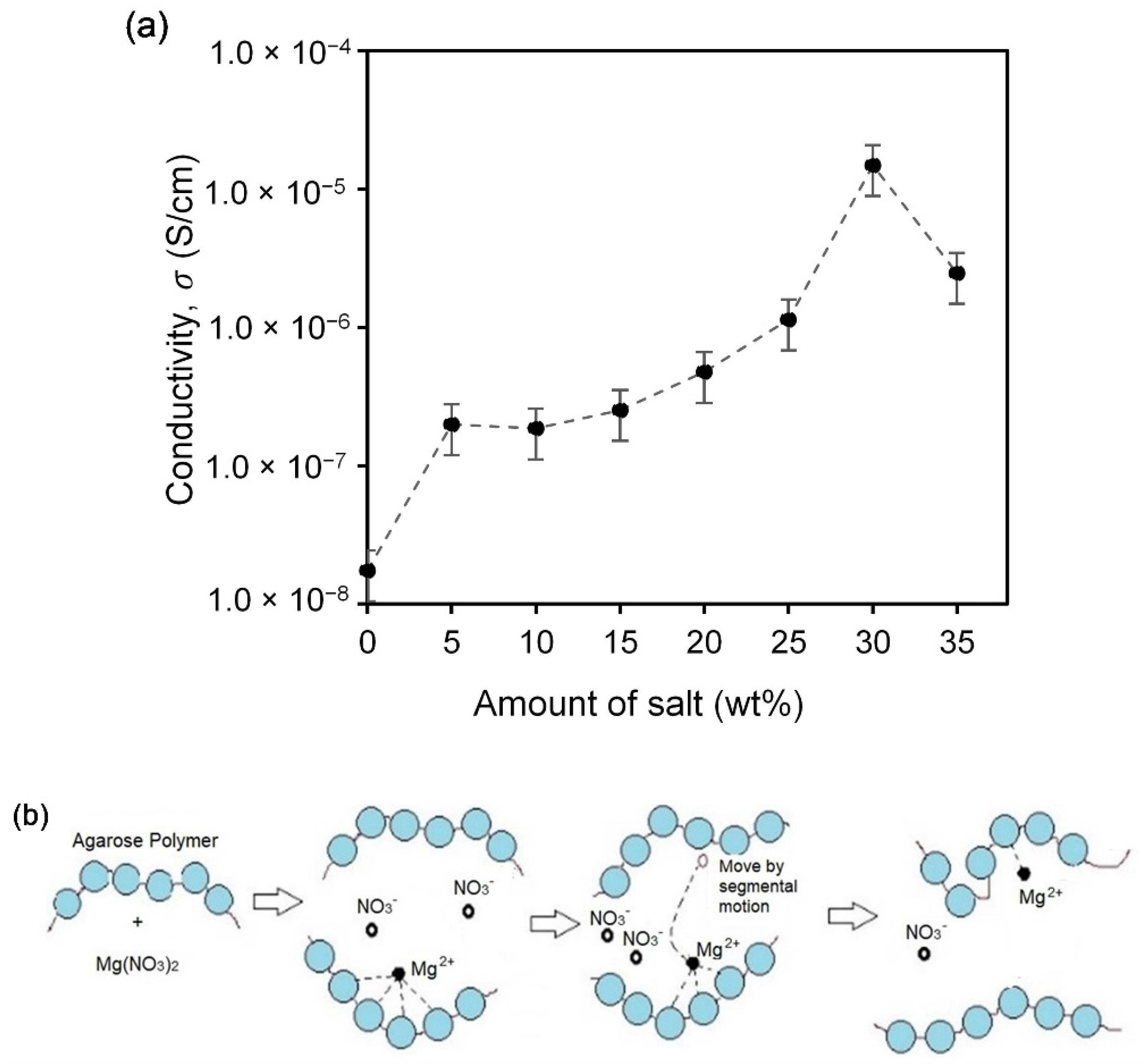Polymers 13 03357 g002a