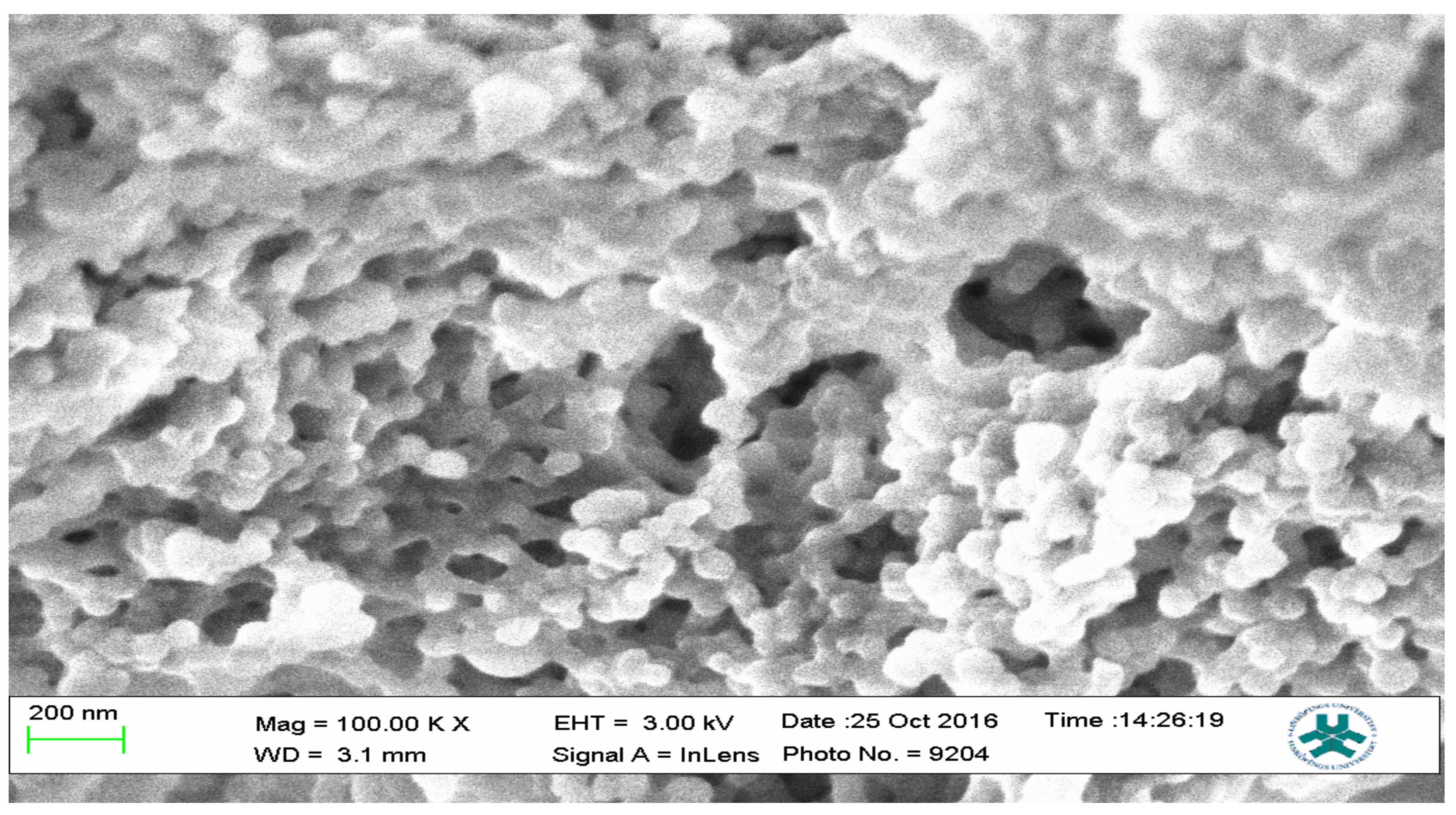 Polymers 13 03363 g012 Polymers 13 03363 g012