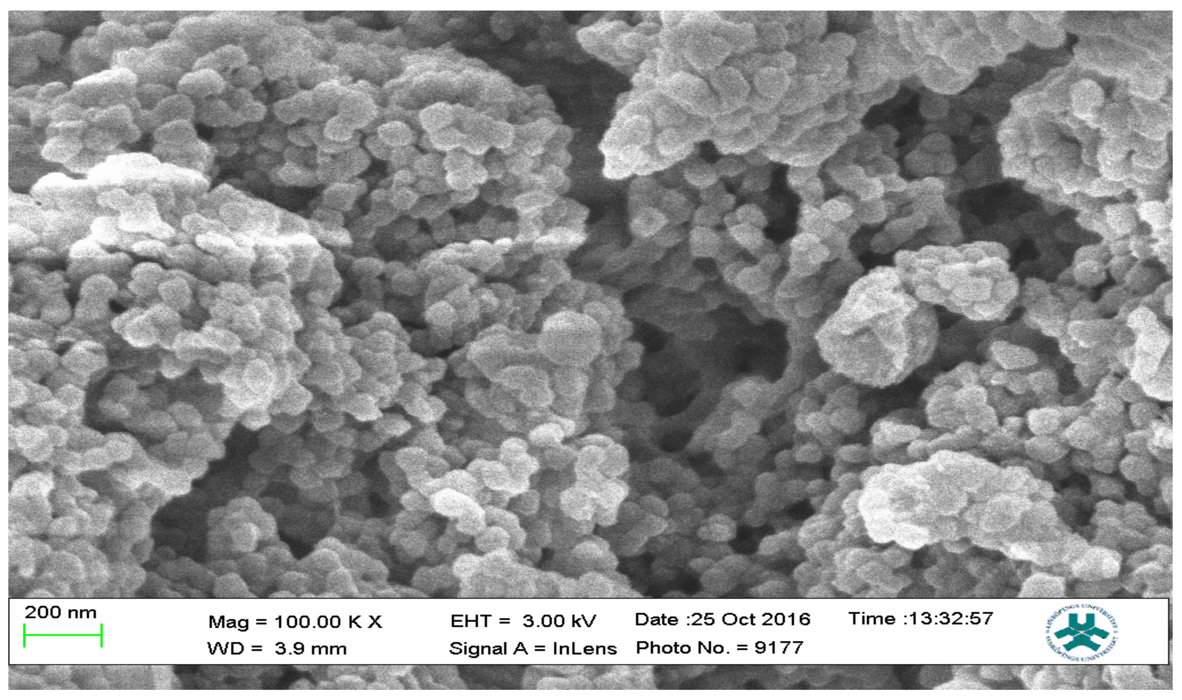 Polymers 13 03363 g013 Polymers 13 03363 g013