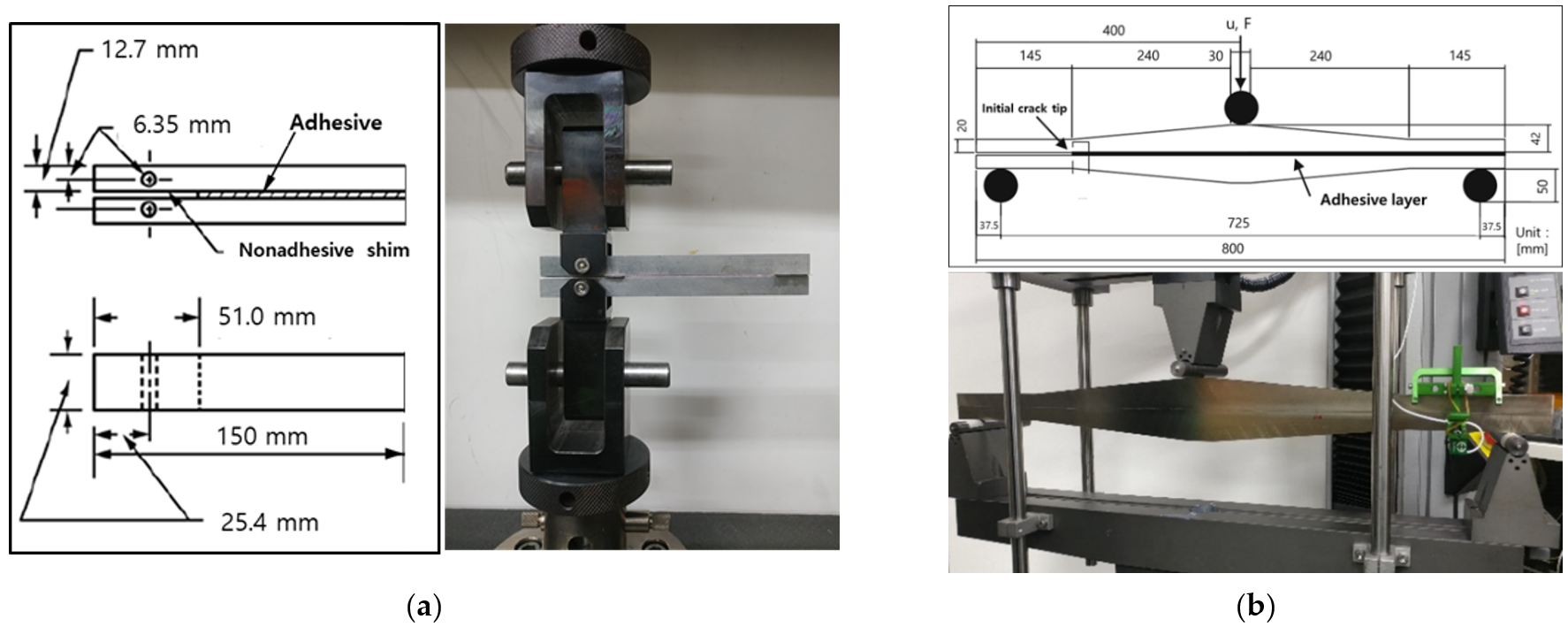 Polymers 13 03364 g001