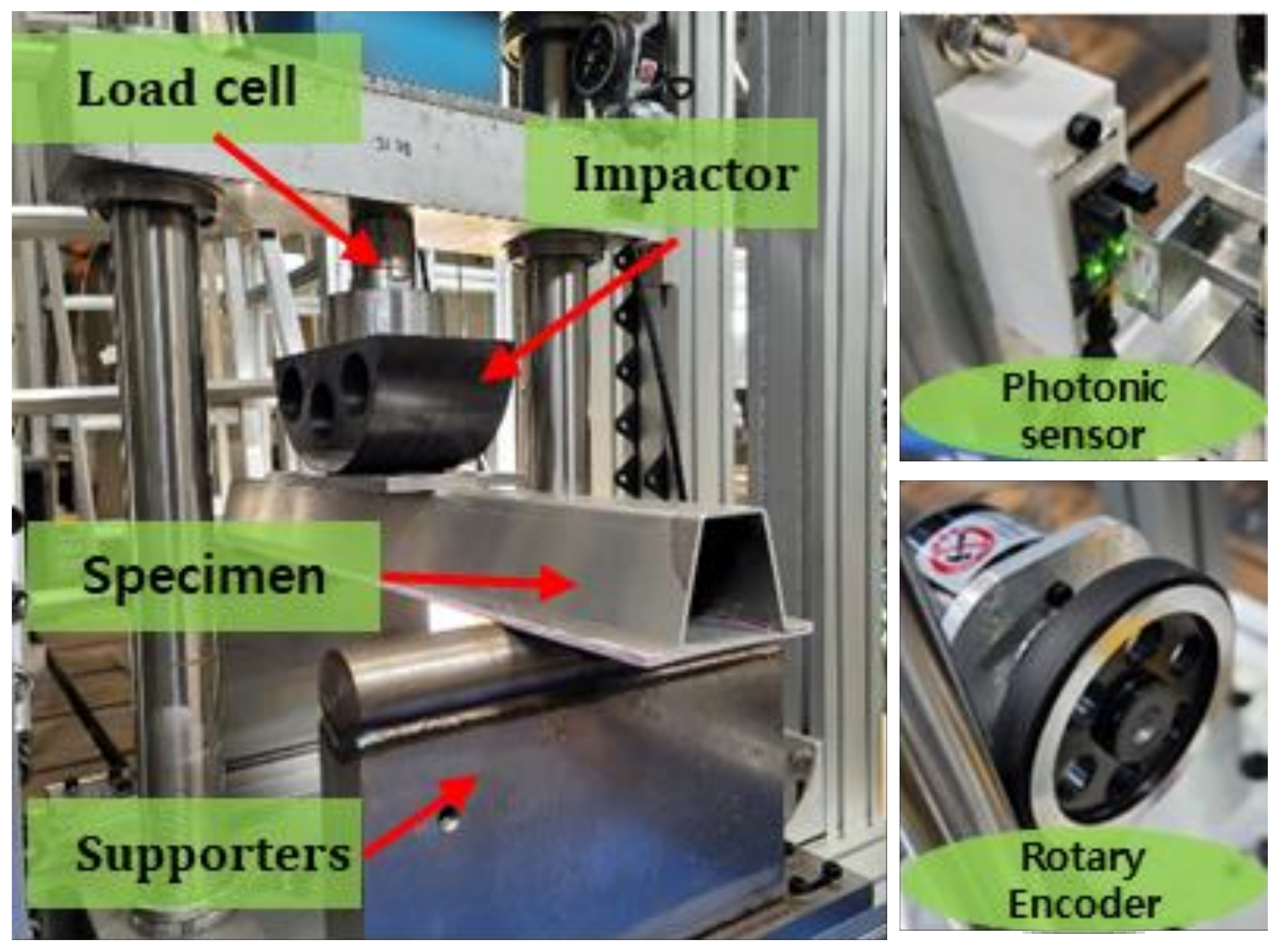 Polymers 13 03364 g003
