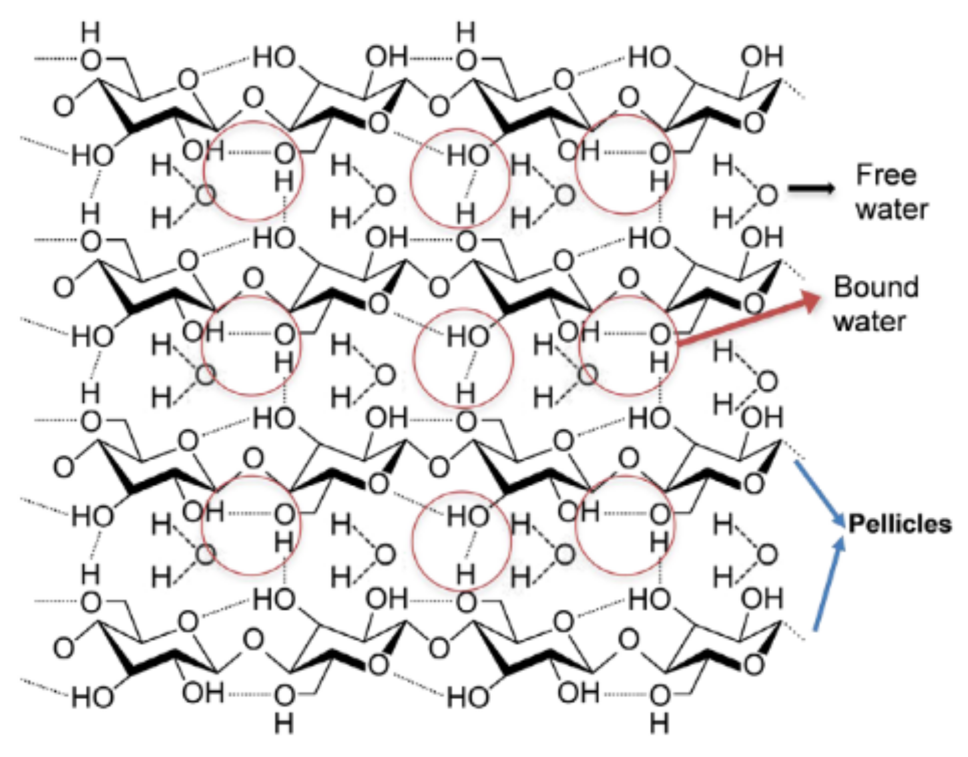 Polymers 13 03365 g001 Polymers 13 03365 g001