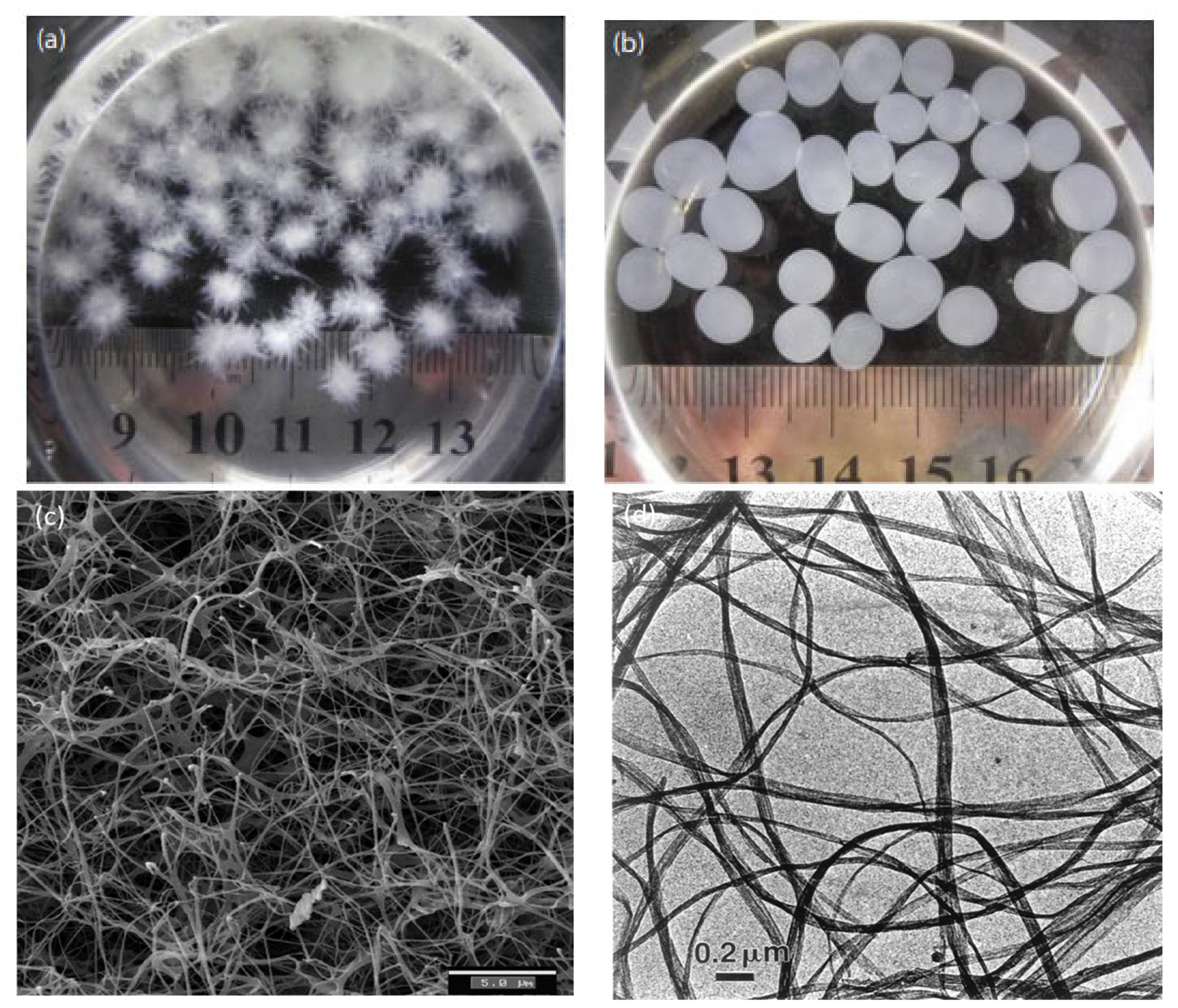 Polymers 13 03365 g002 Polymers 13 03365 g002