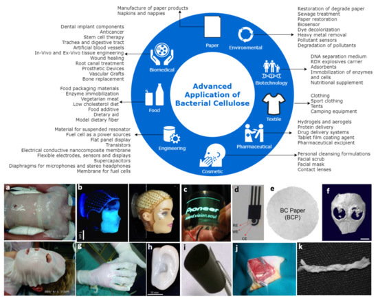 Polymers 13 03365 g004