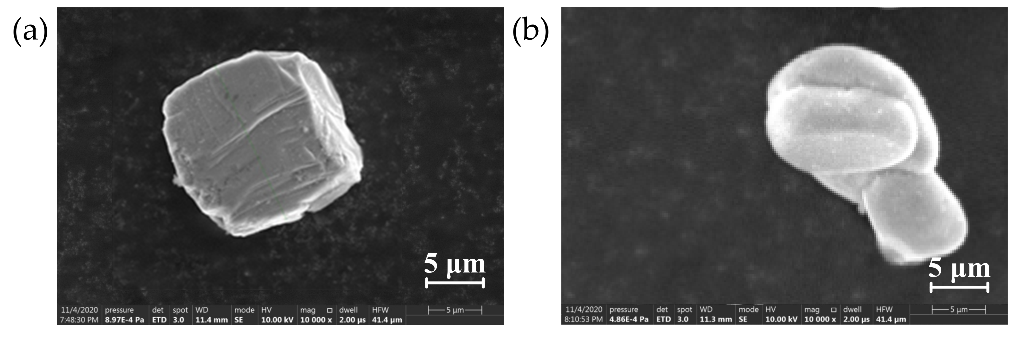 Polymers 13 03369 g002 Polymers 13 03369 g002