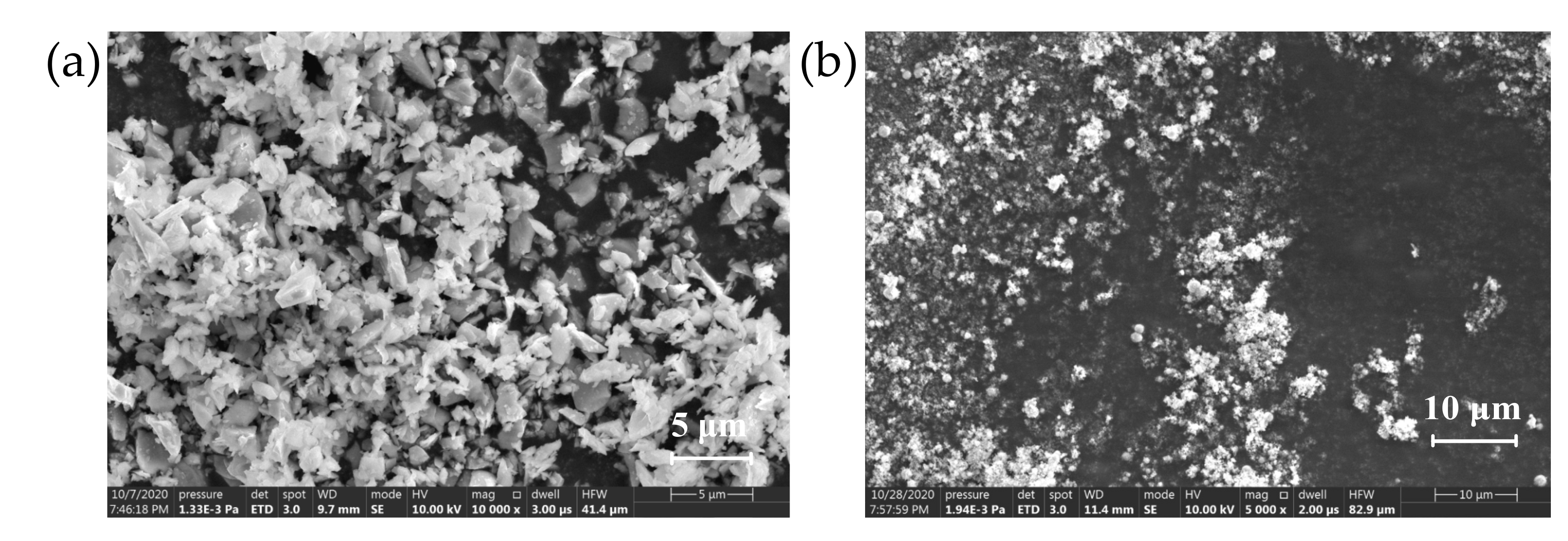 Polymers 13 03369 g003 Polymers 13 03369 g003