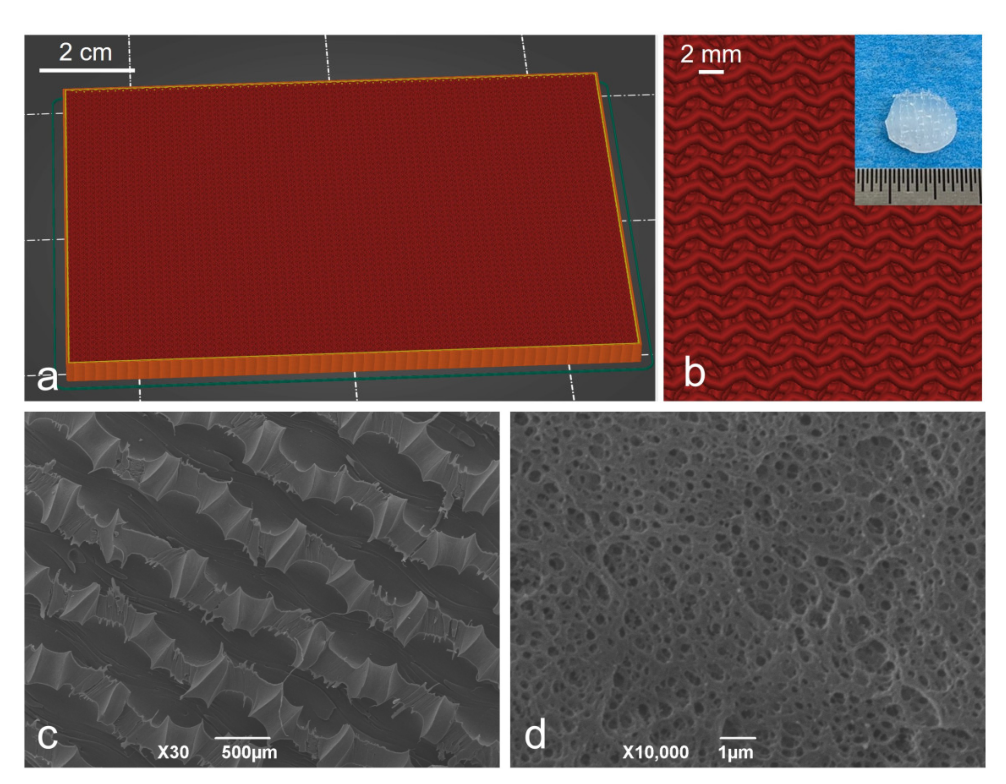 Polymers 13 03372 g001