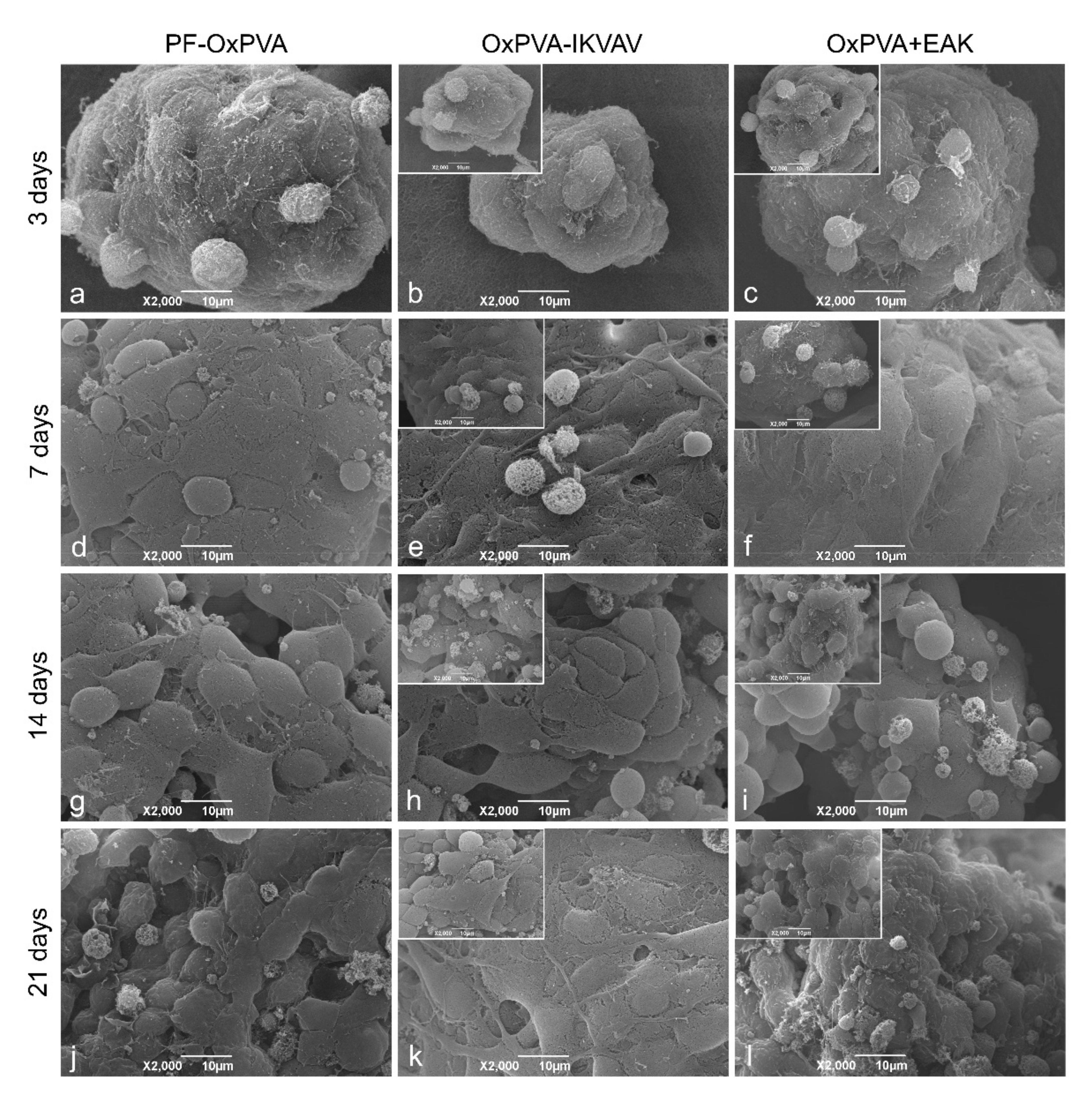 Polymers 13 03372 g007