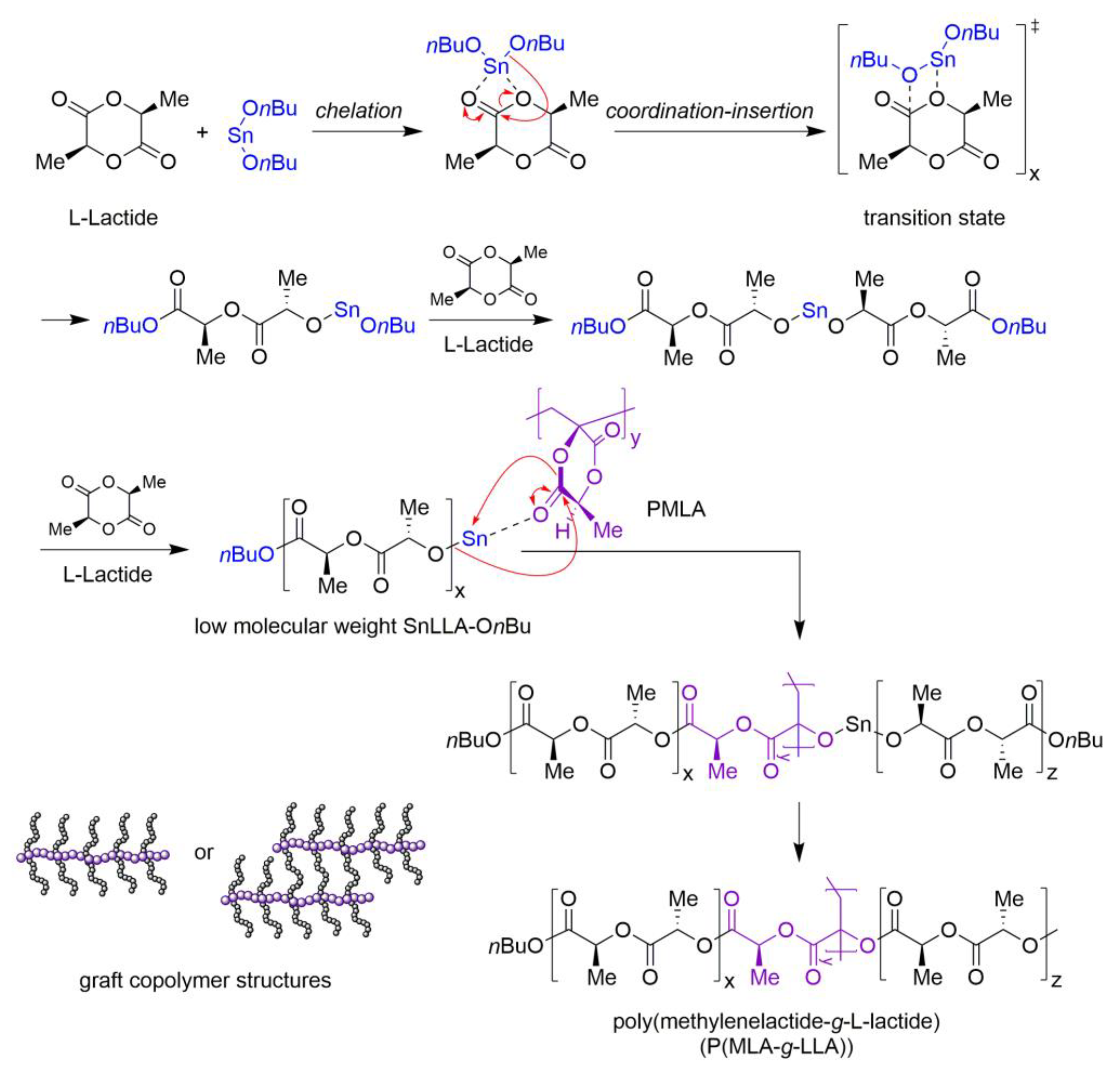 Polymers 13 03374 sch004