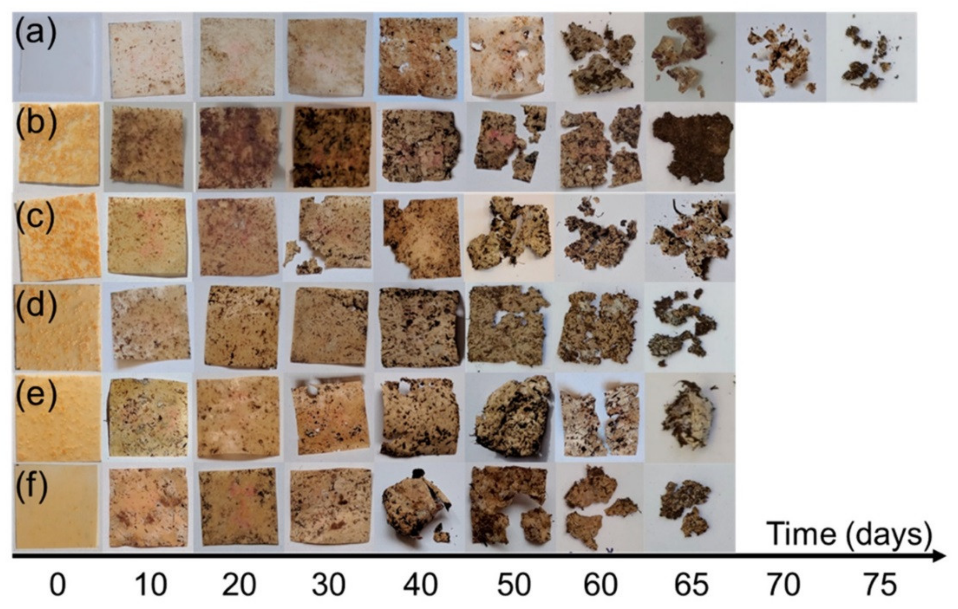 Polymers 13 03375 g002
