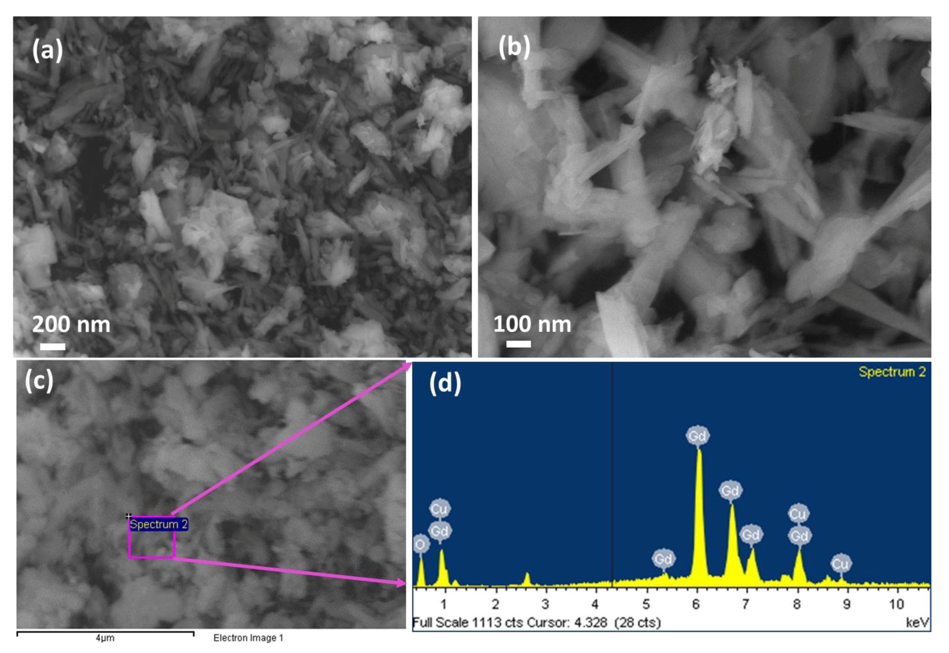 Polymers 13 03379 g002