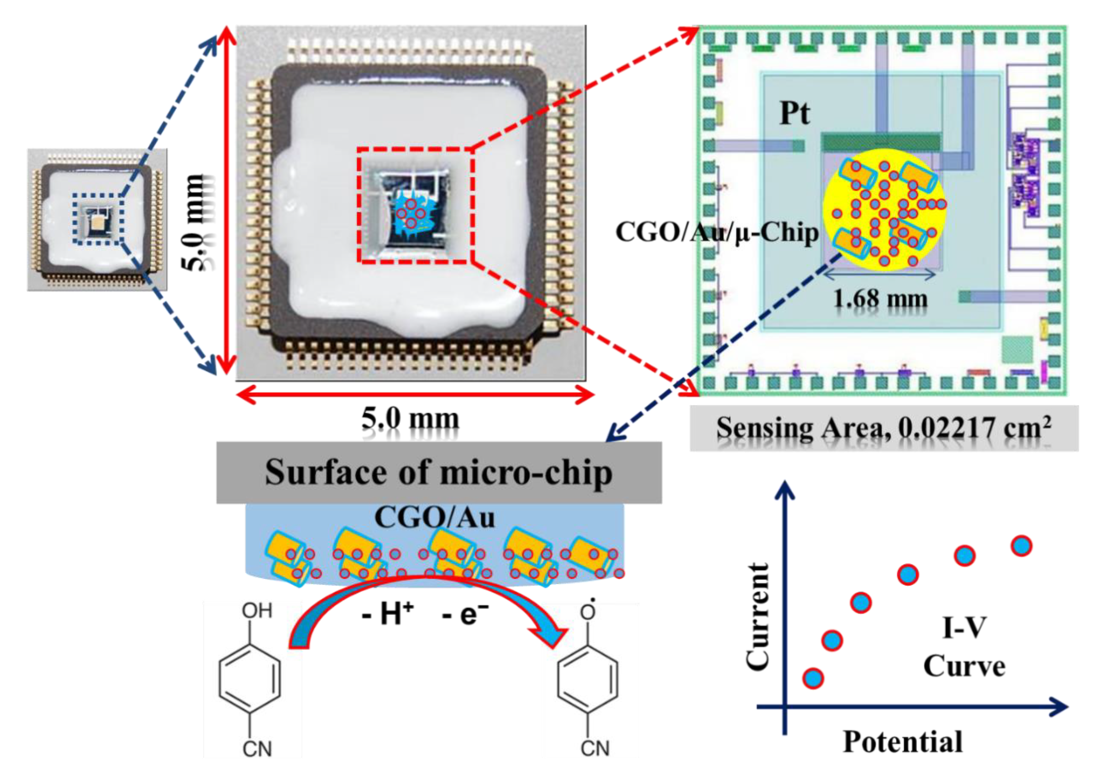 Polymers 13 03379 sch002