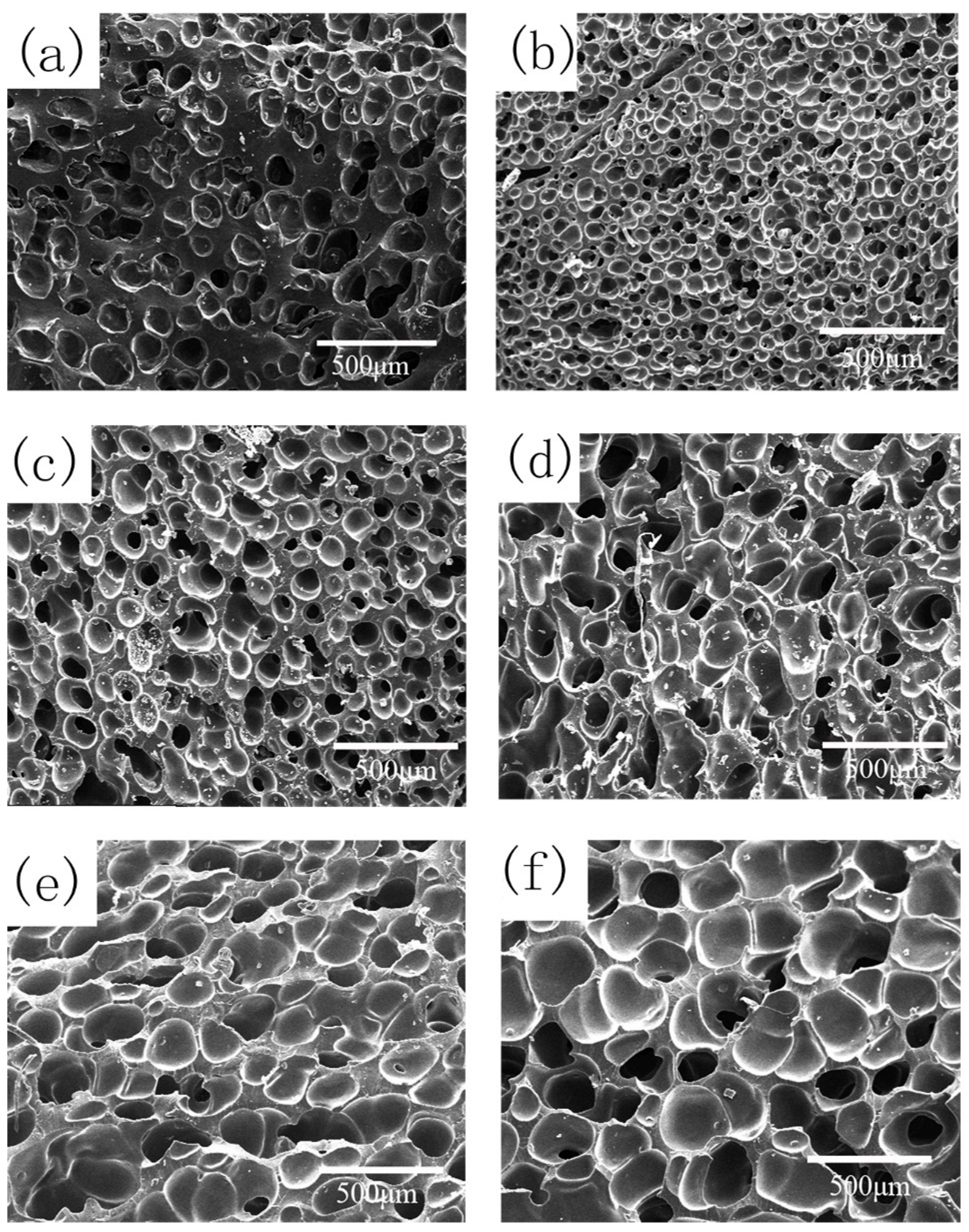 Polymers 13 03384 g008