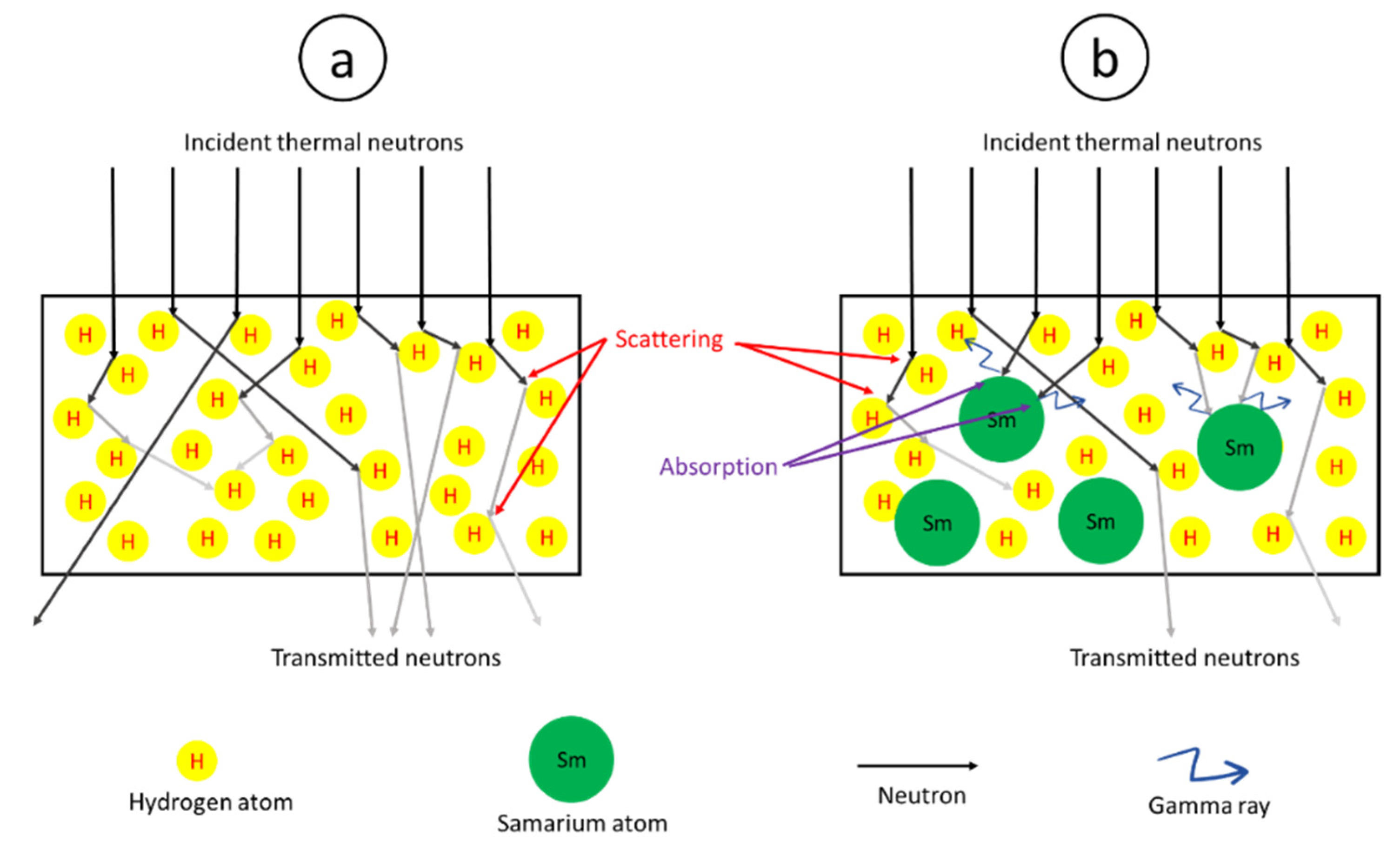 Polymers 13 03390 g001