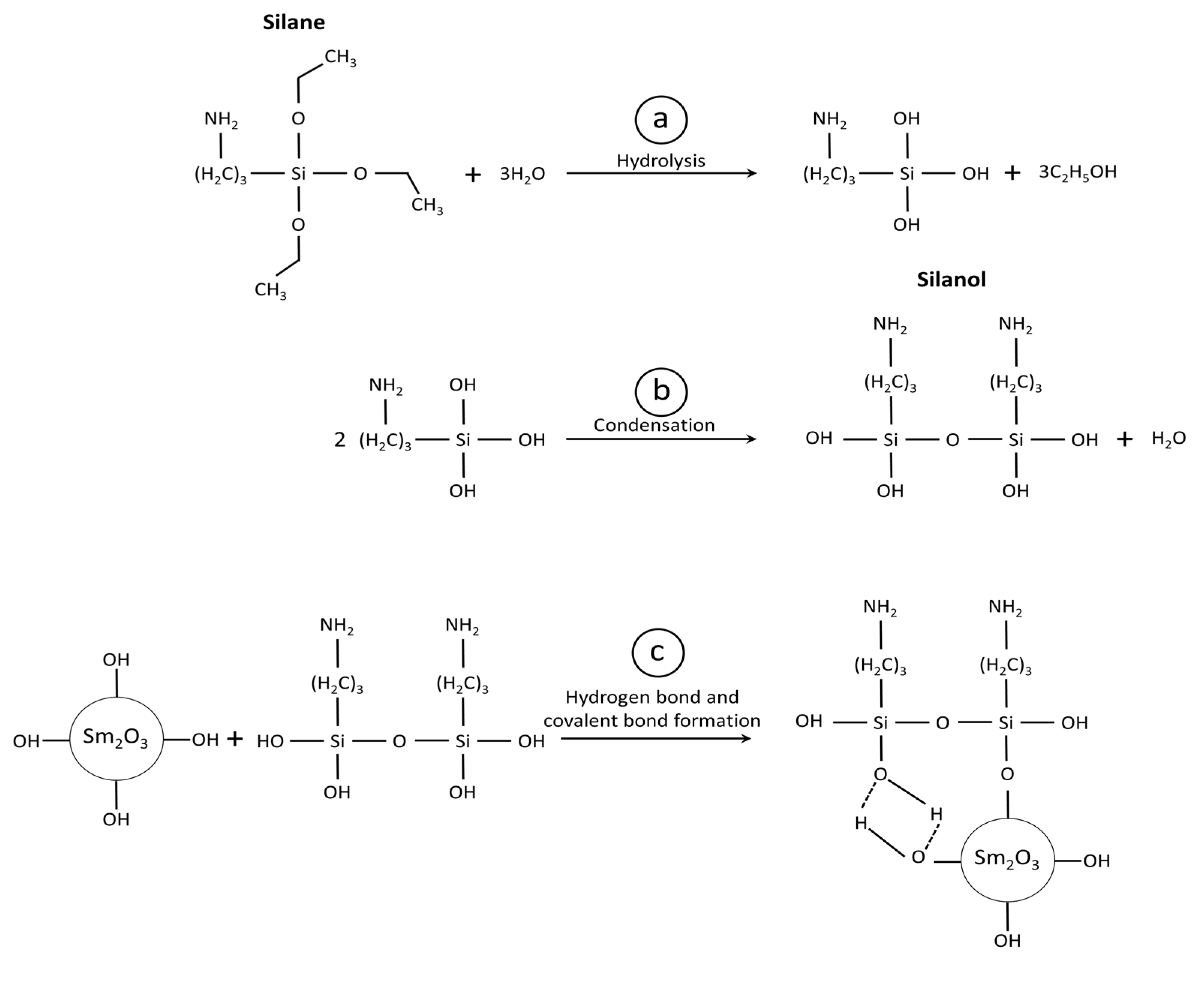 Polymers 13 03390 g003