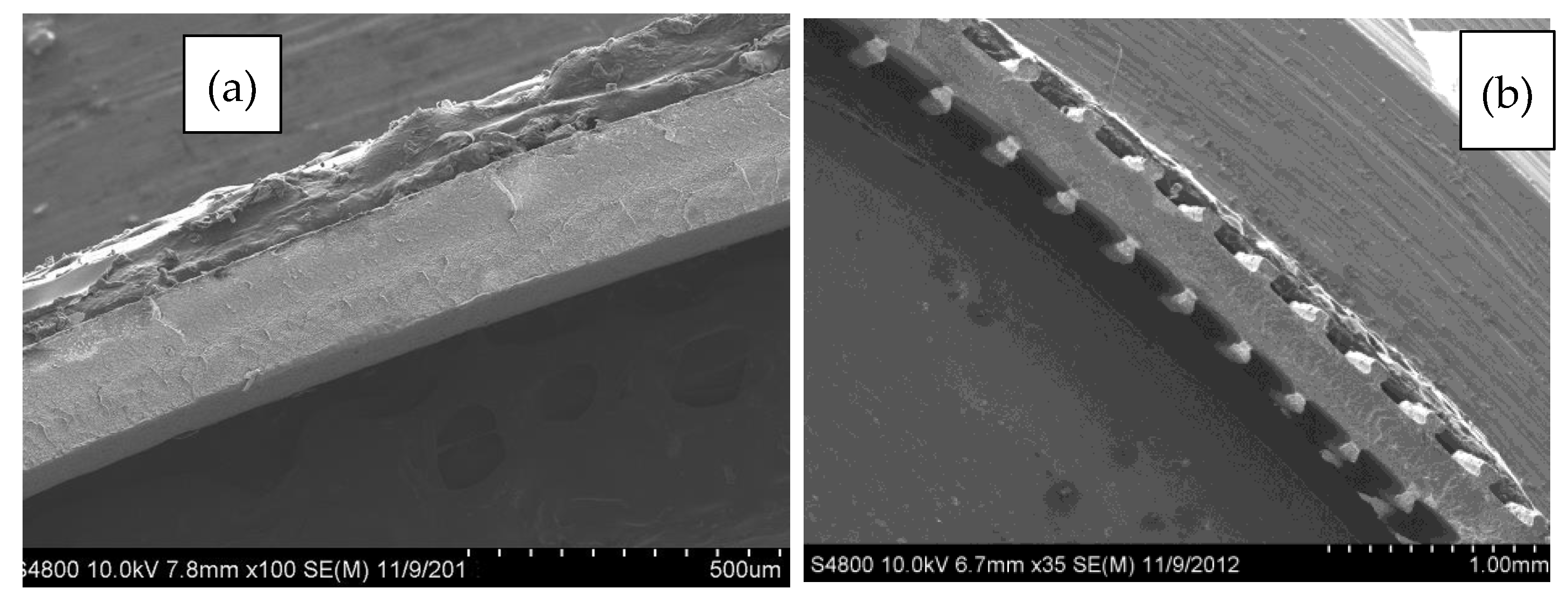 Polymers 13 03393 g006
