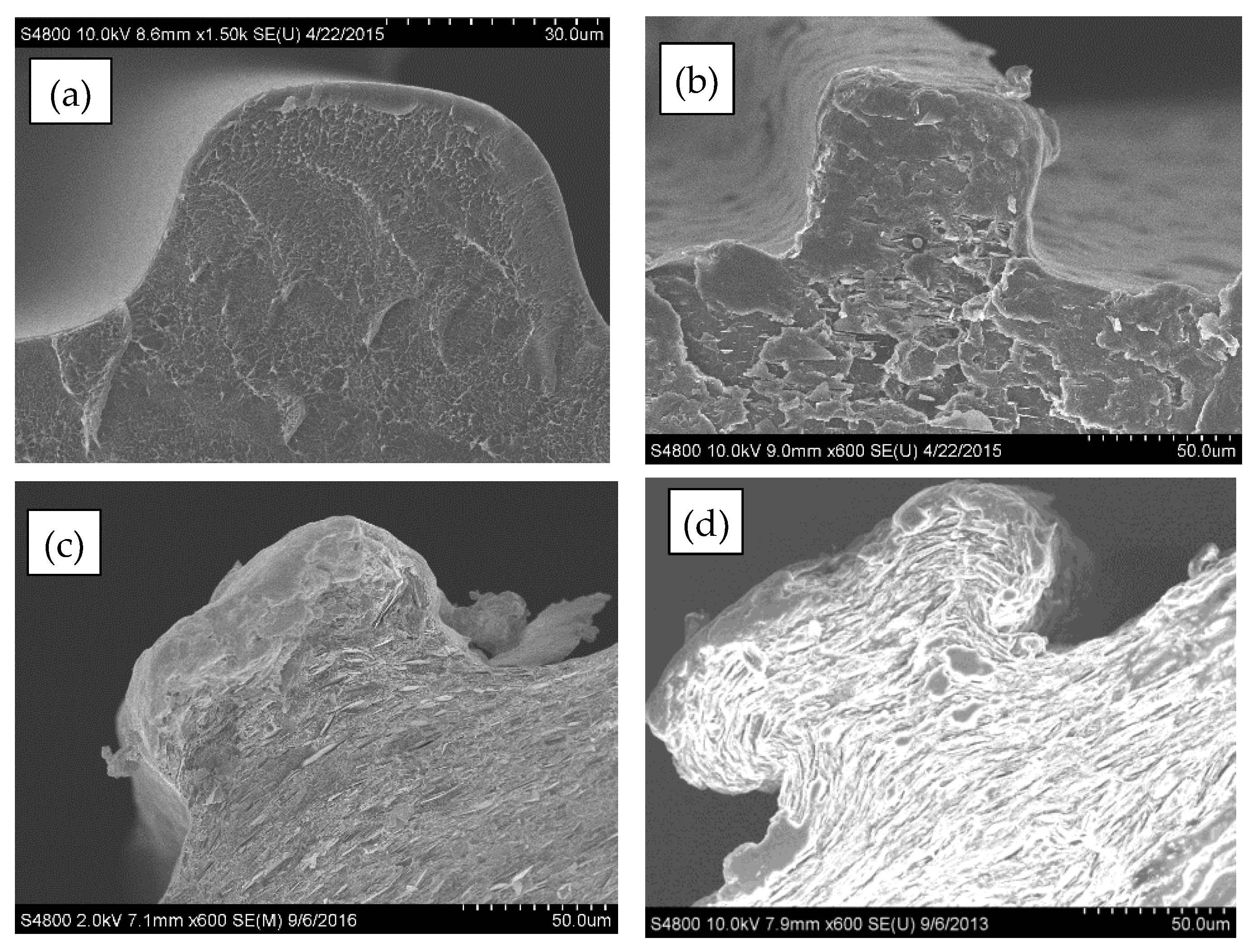Polymers 13 03393 g007