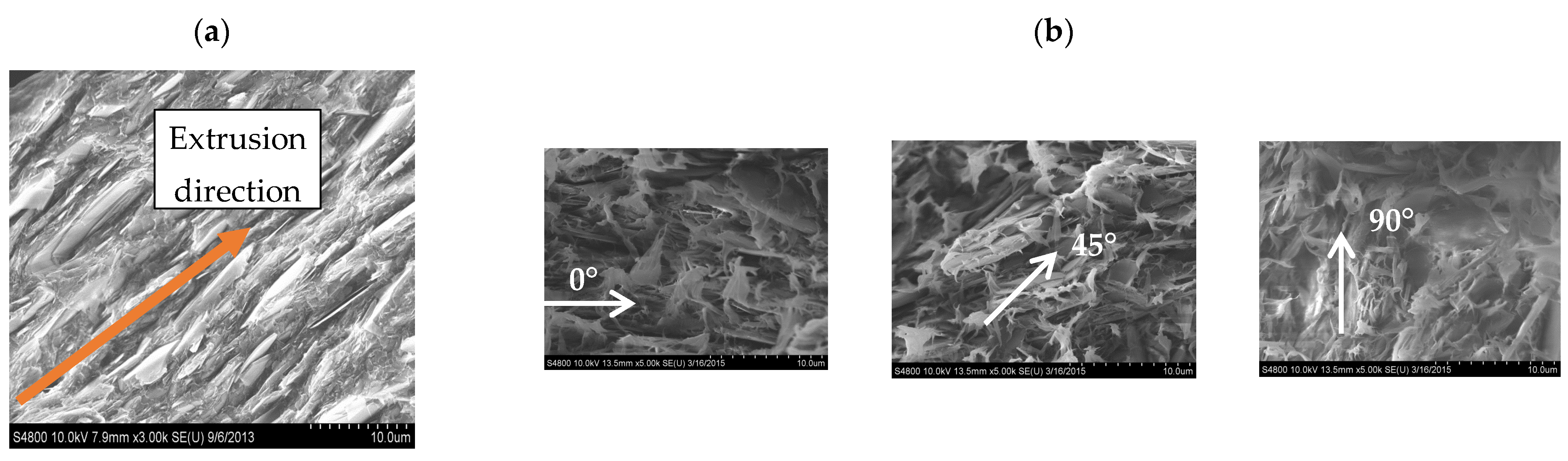 Polymers 13 03393 g008