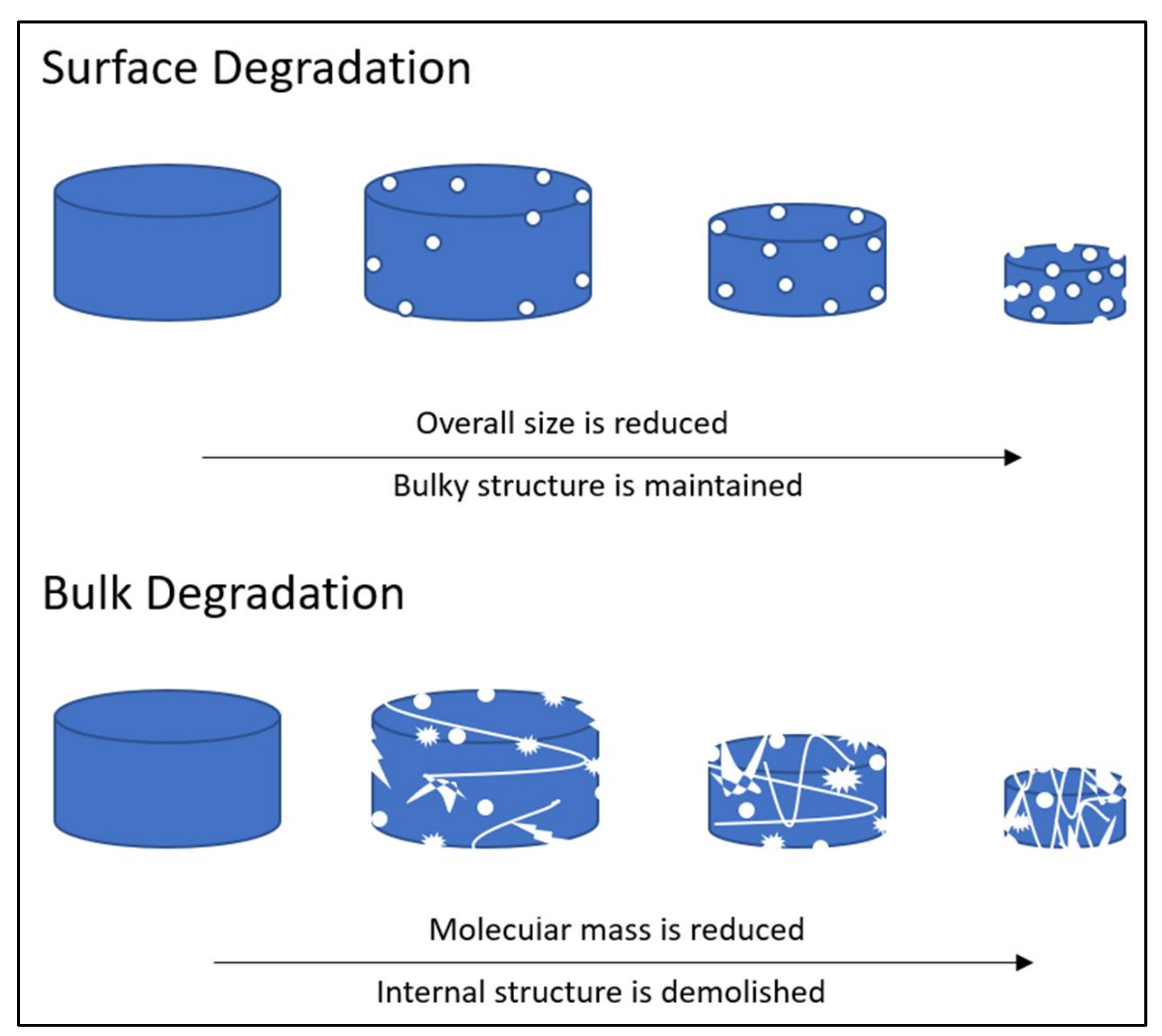 Polymers 13 03395 g006