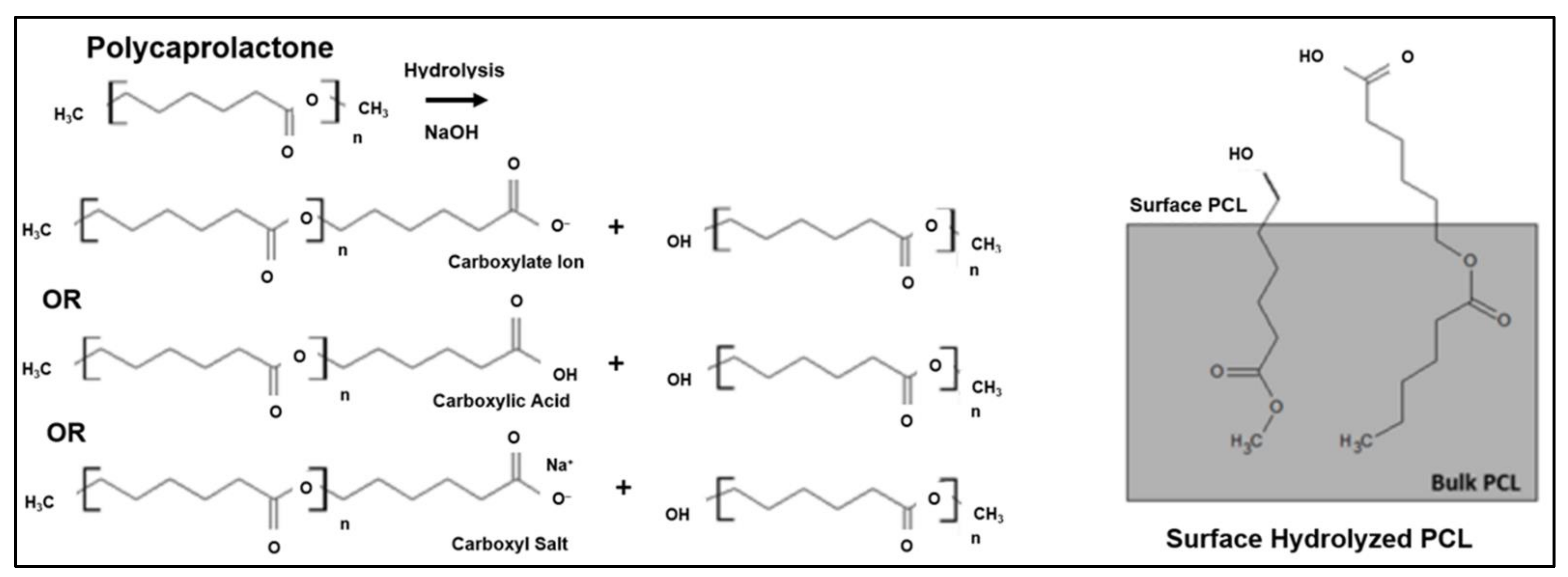 Polymers 13 03395 g008