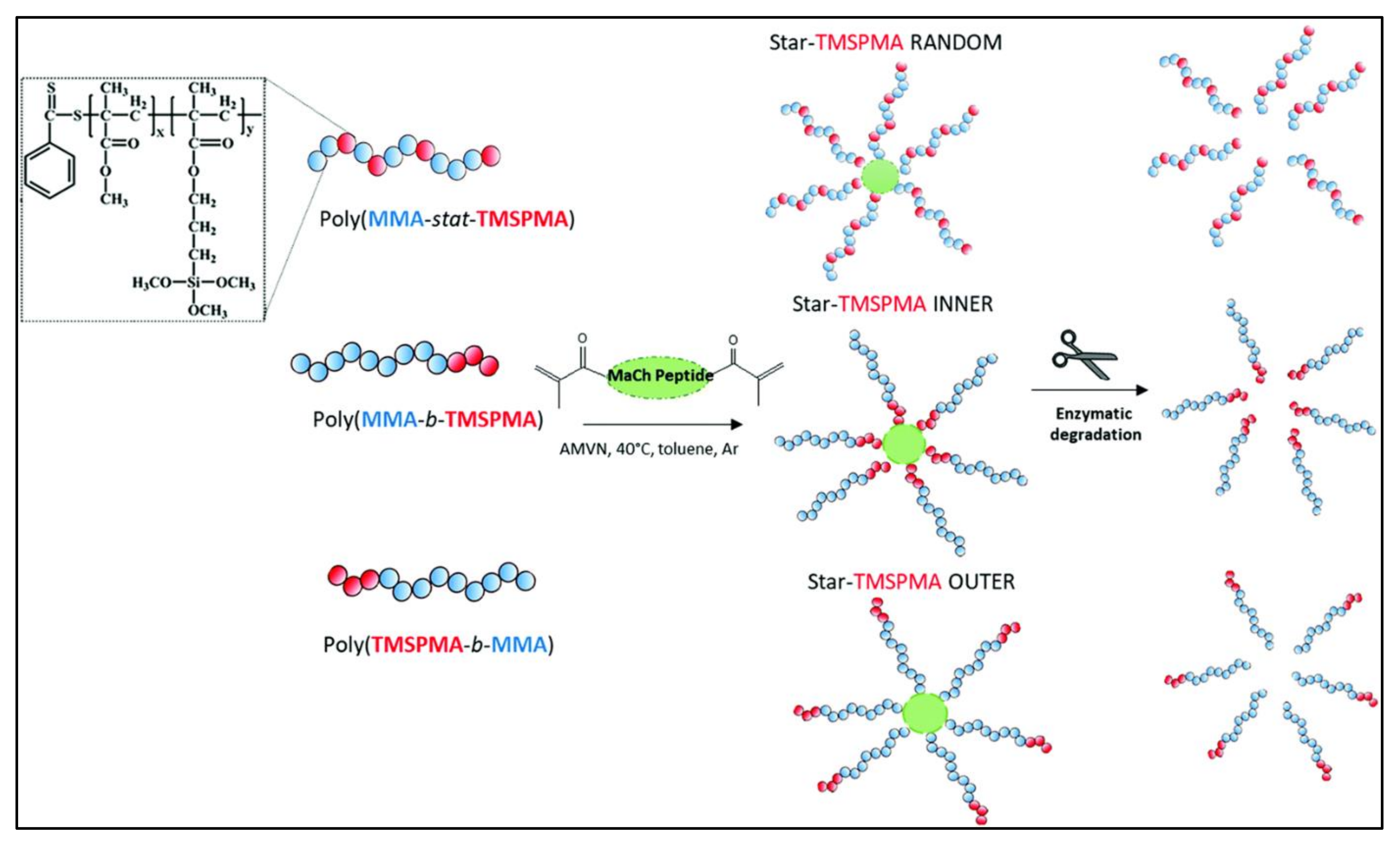 Polymers 13 03395 g010