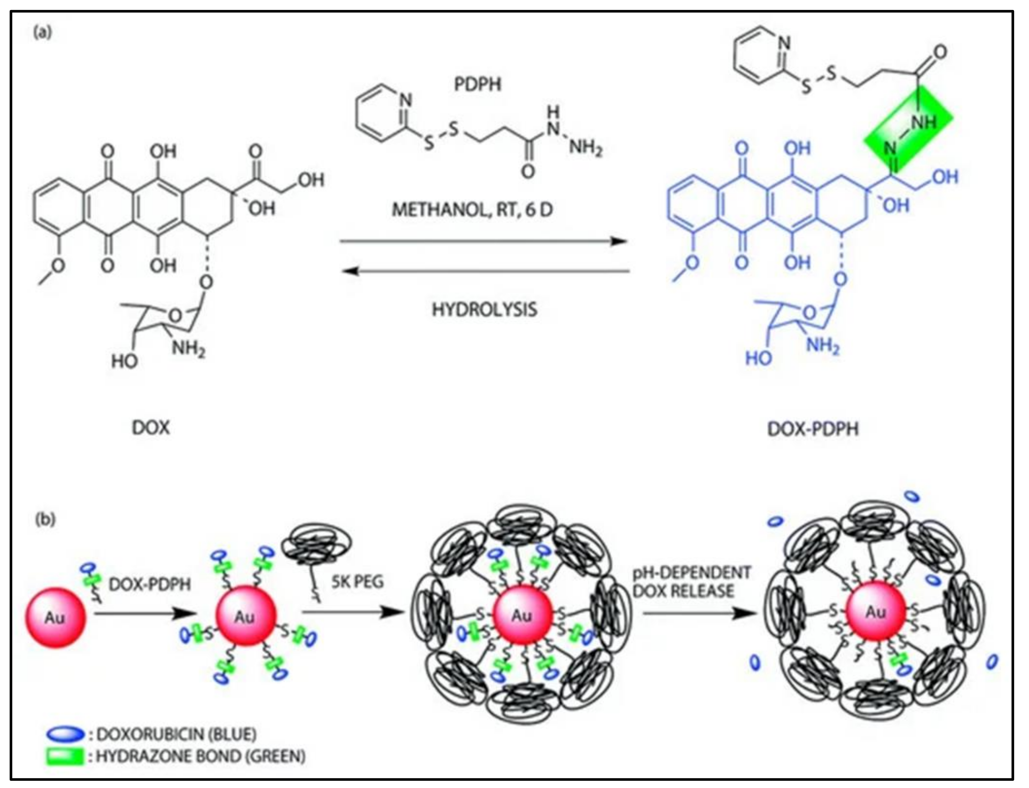 Polymers 13 03395 g011
