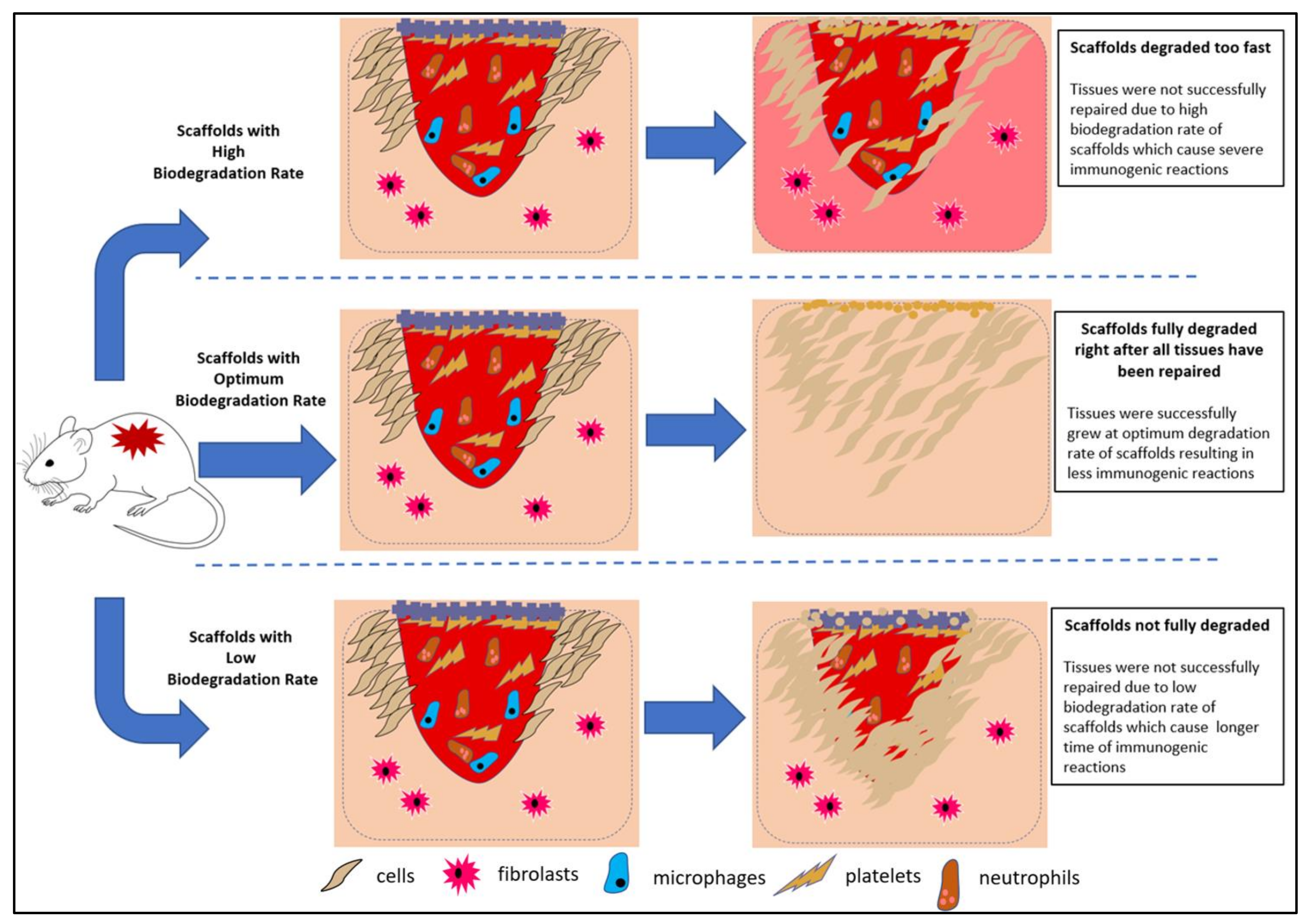 Polymers 13 03395 g012