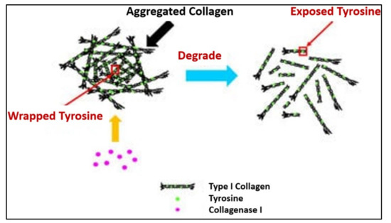 Polymers 13 03395 g014