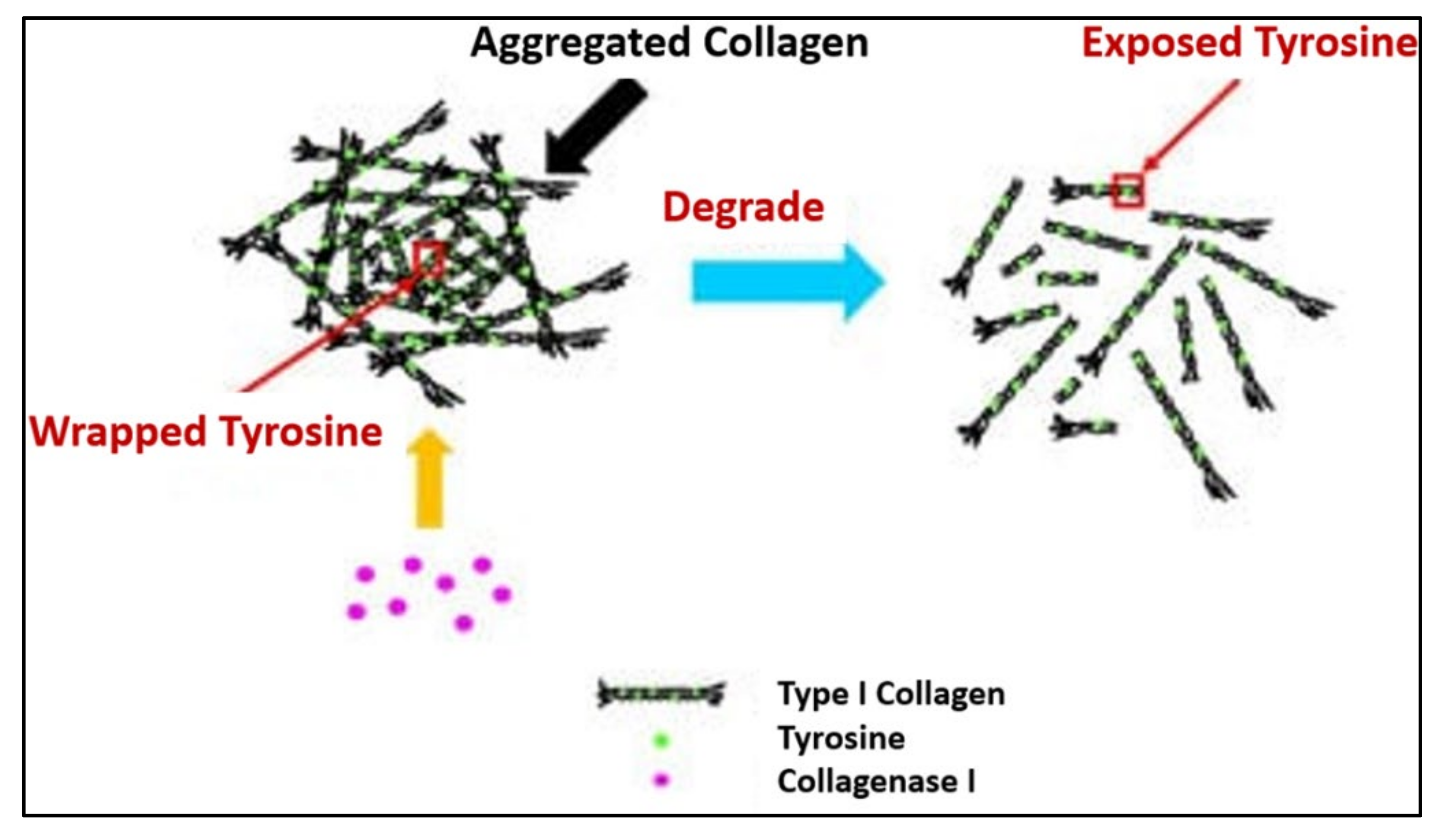 Polymers 13 03395 g014
