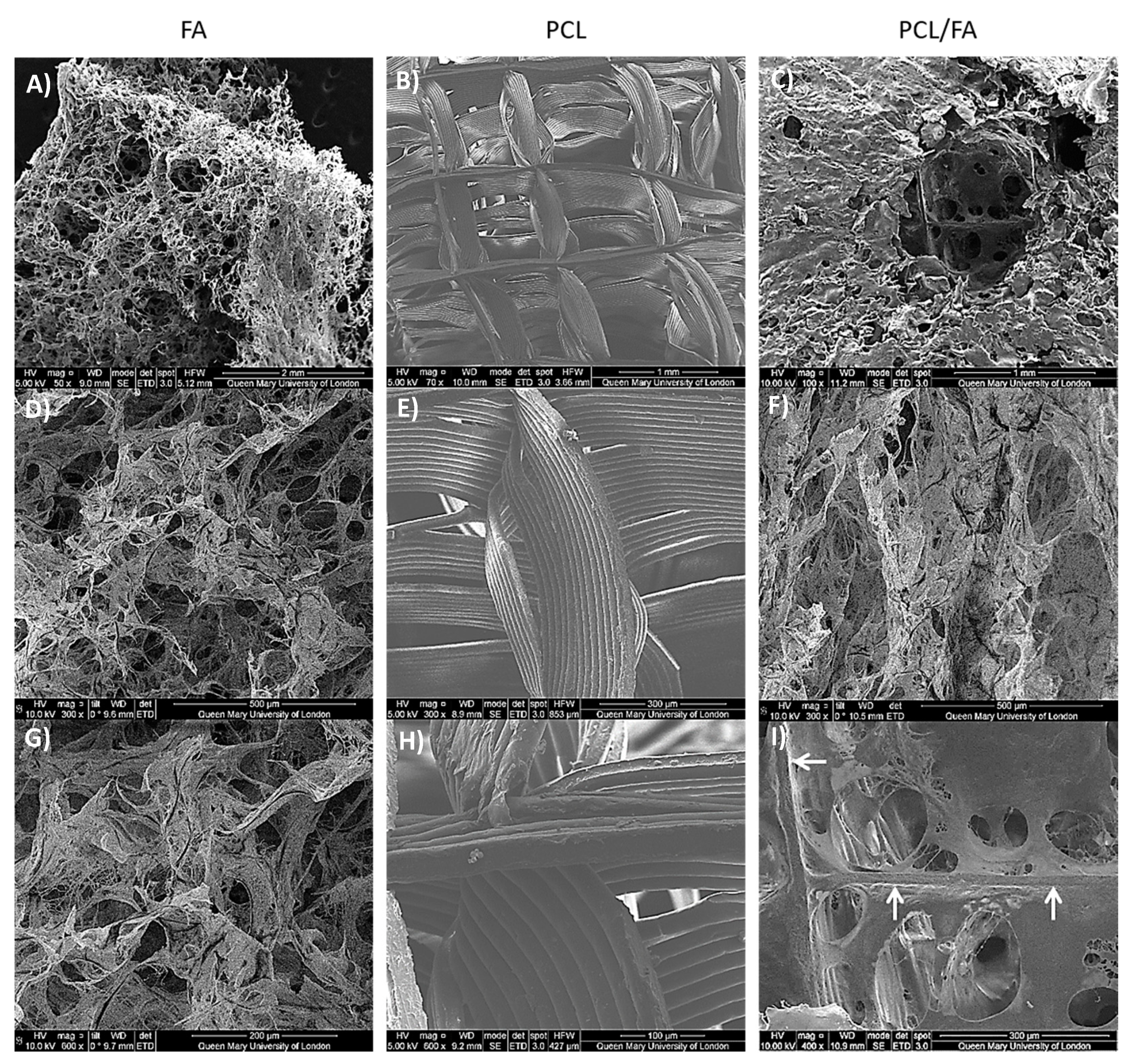 Polymers 13 03399 g003 Polymers 13 03399 g003