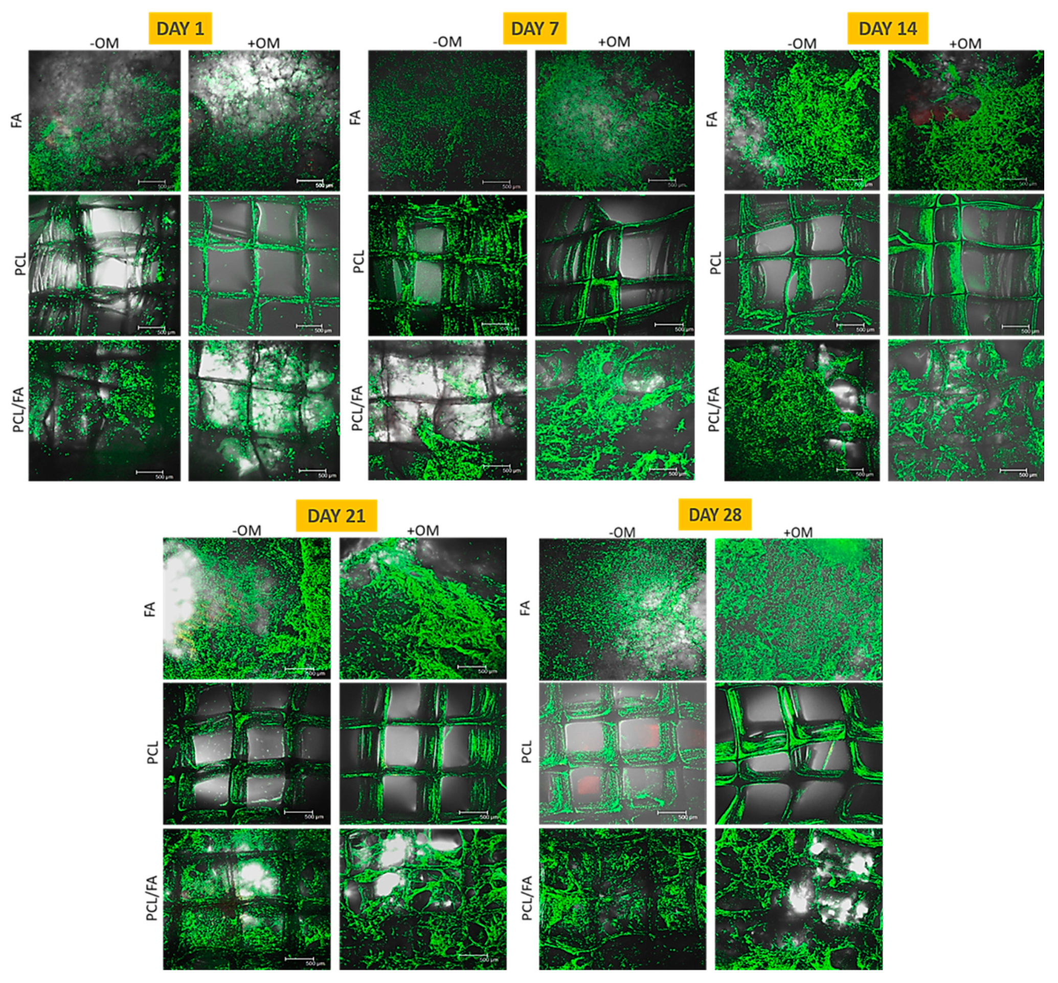 Polymers 13 03399 g005 Polymers 13 03399 g005