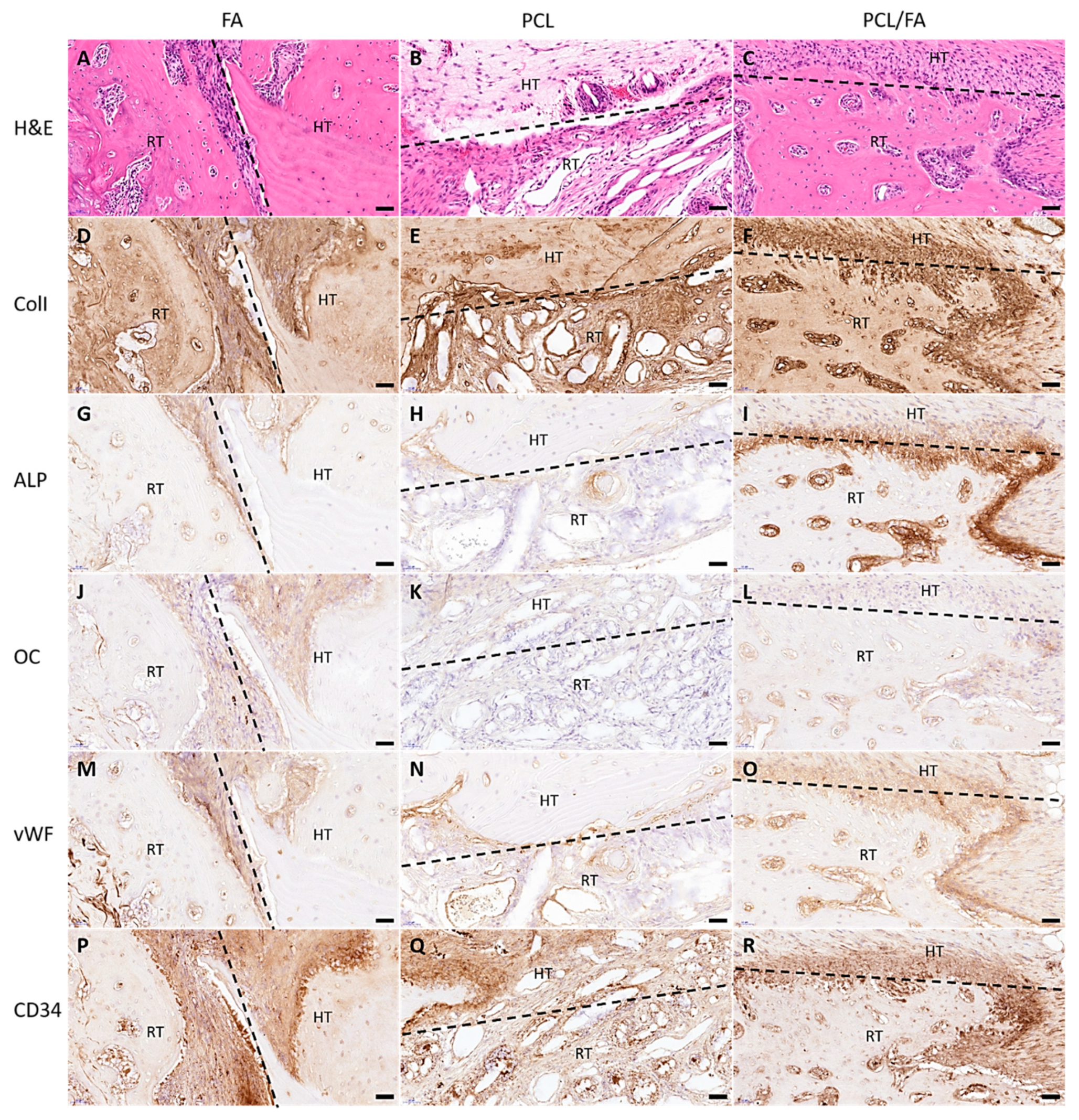 Polymers 13 03399 g009 Polymers 13 03399 g009