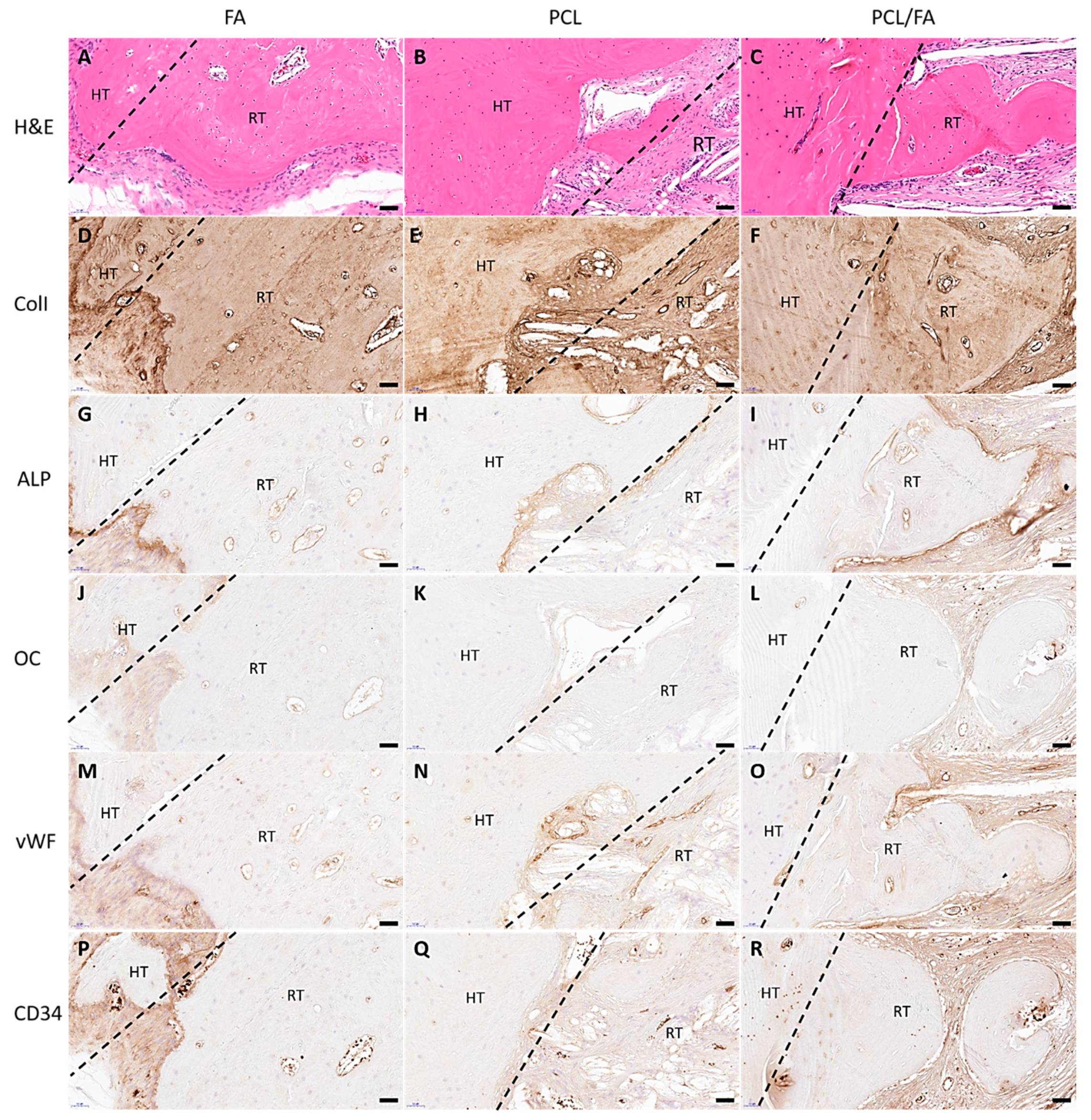 Polymers 13 03399 g010 Polymers 13 03399 g010
