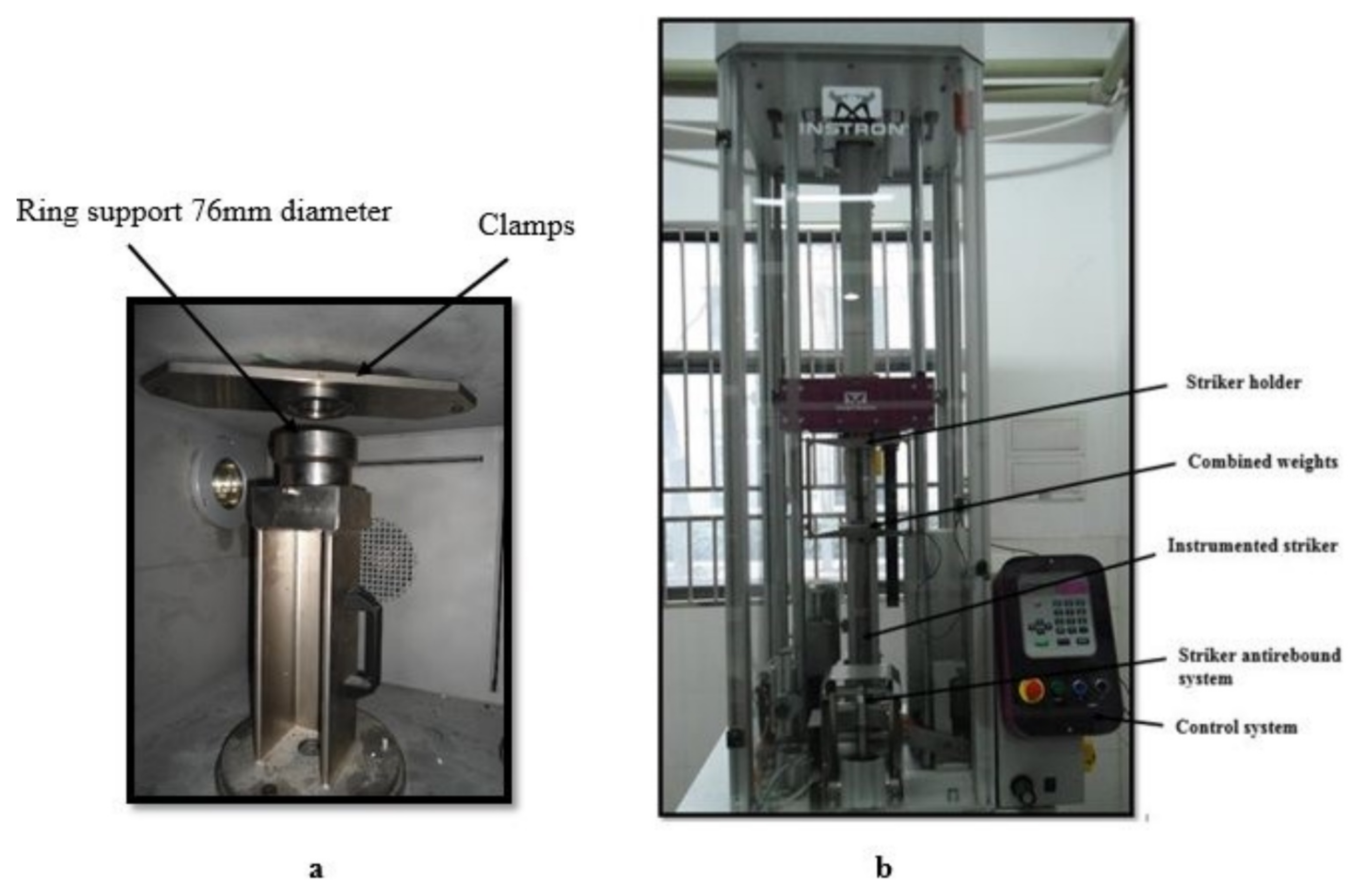 Polymers 13 03404 g003
